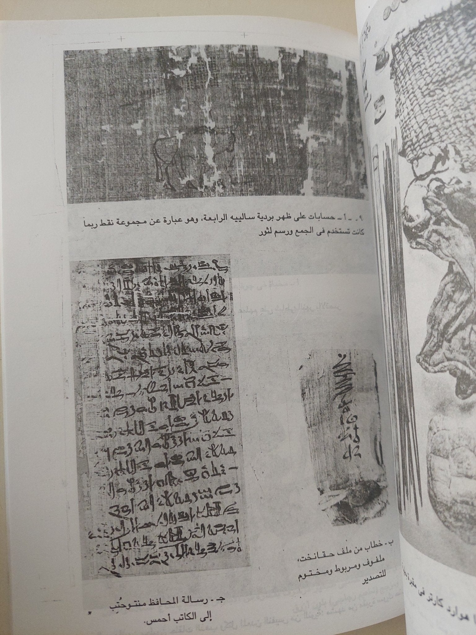 الحياة أيام الفراعنة / ت. ج. جيمز - ملحق بالصور - متجر كتب مصر - متجر كتب مصر