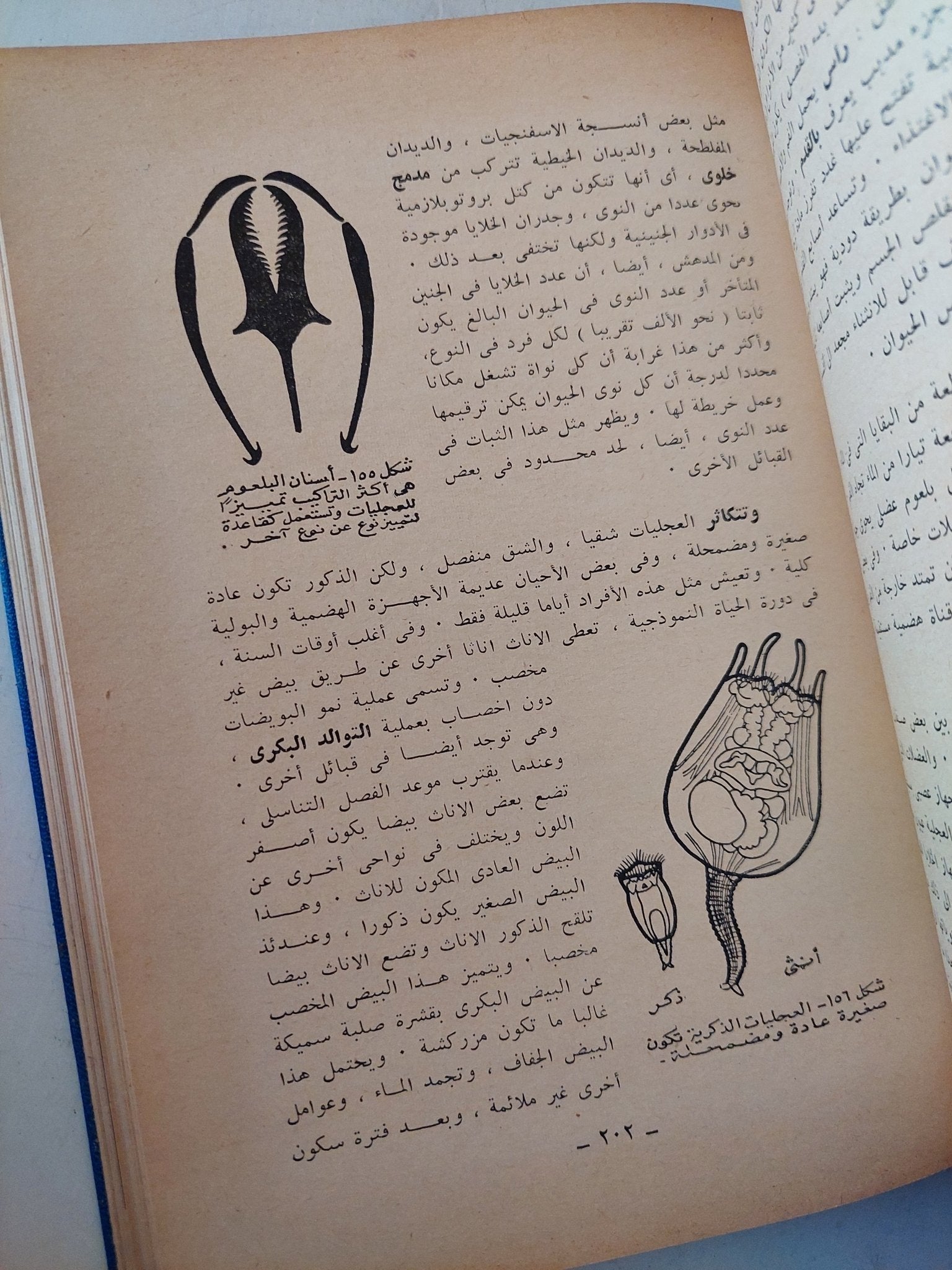 الحيوانات اللافقارية - هارد كفر ملحق بالصور - متجر كتب مصرمتجر كتب مصر