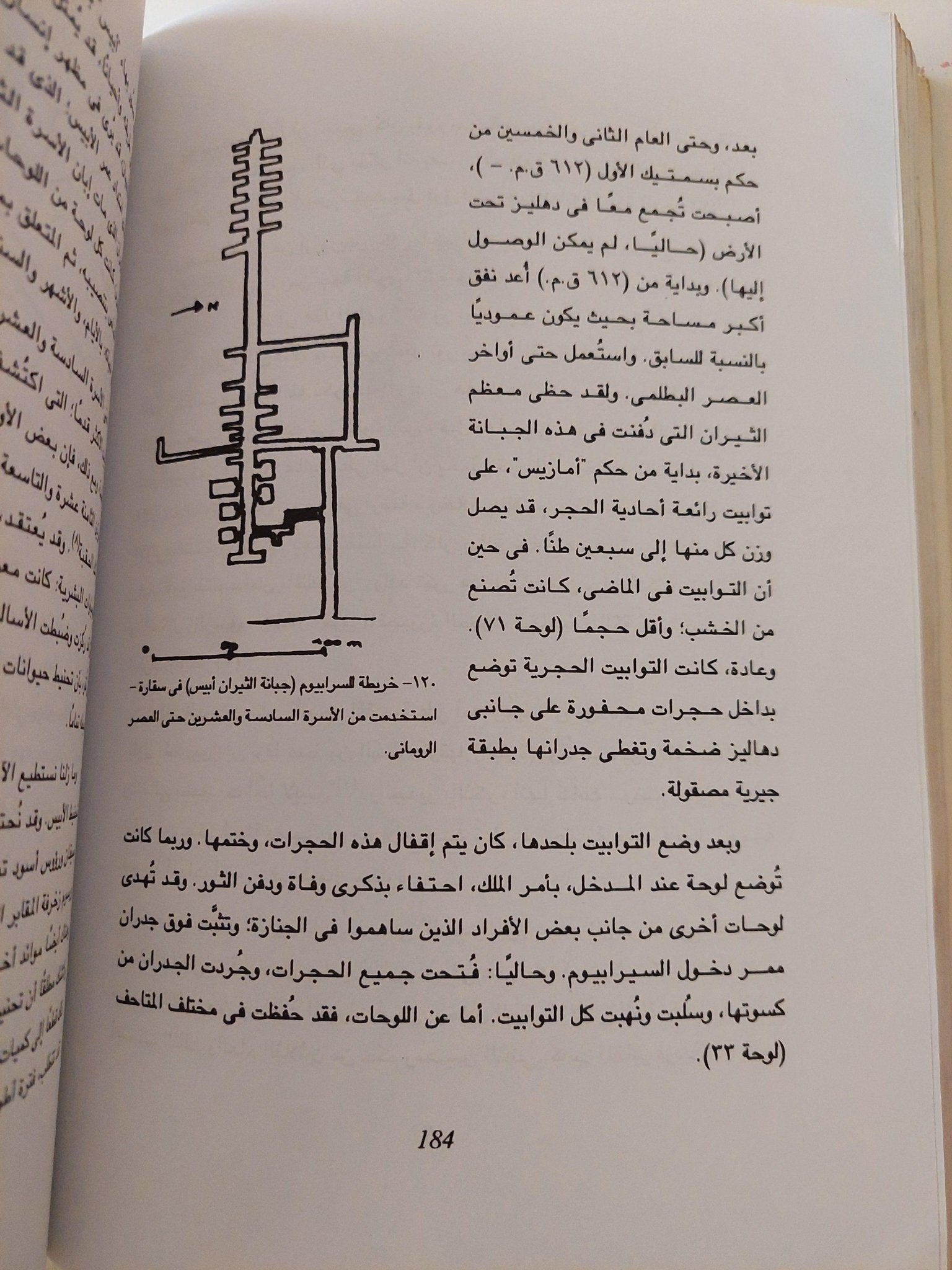 الحيوانات والبشر .. تناغم مصري قديم ( ملحق خاص بالصور ) - متجر كتب مصر - متجر كتب مصر