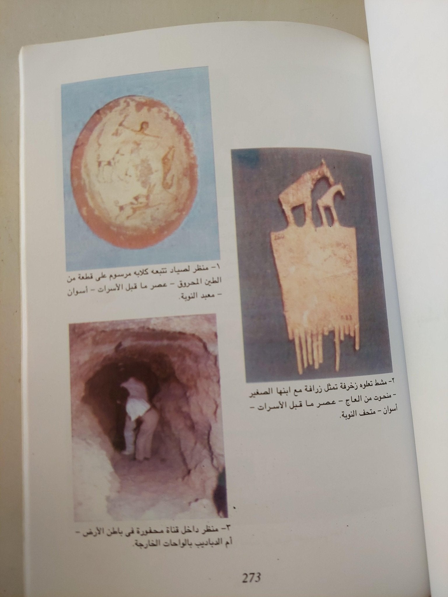 الحيوانات والبشر .. تناغم مصري قديم ( ملحق خاص بالصور ) - متجر كتب مصر - متجر كتب مصر