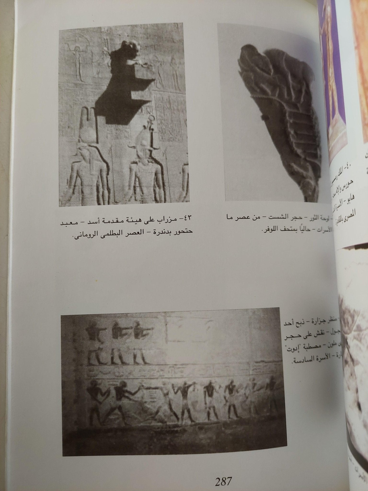 الحيوانات والبشر .. تناغم مصري قديم ( ملحق خاص بالصور ) - متجر كتب مصر - متجر كتب مصر