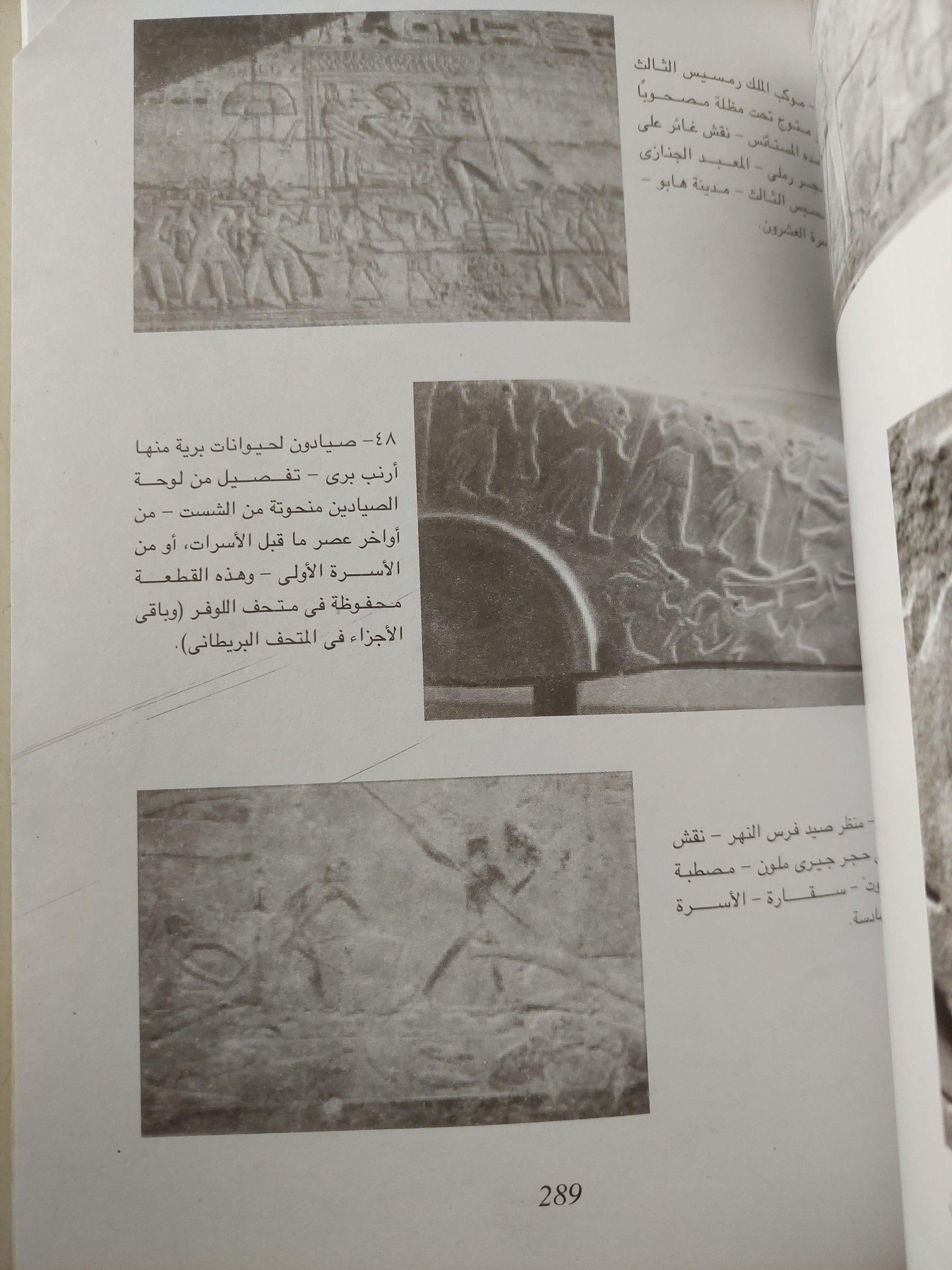 الحيوانات والبشر .. تناغم مصري قديم ( ملحق خاص بالصور ) - متجر كتب مصر - متجر كتب مصر