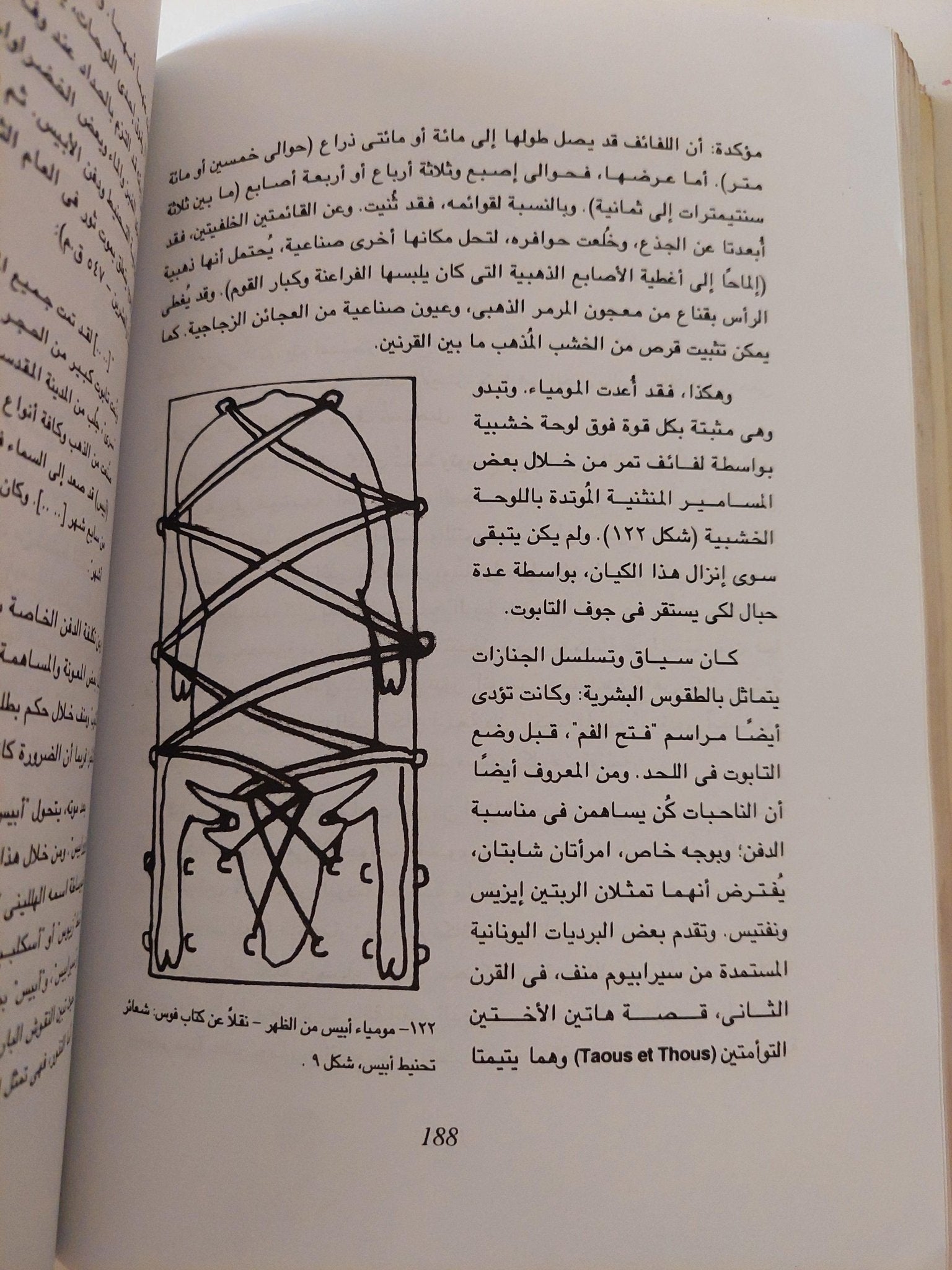 الحيوانات والبشر .. تناغم مصري قديم ( ملحق خاص بالصور ) - متجر كتب مصر - متجر كتب مصر