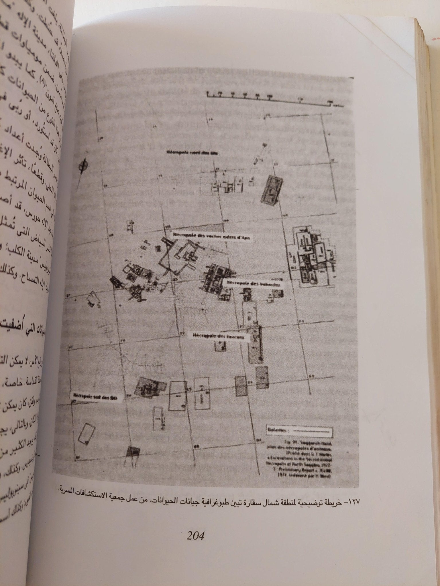 الحيوانات والبشر .. تناغم مصري قديم ( ملحق خاص بالصور ) - متجر كتب مصر - متجر كتب مصر