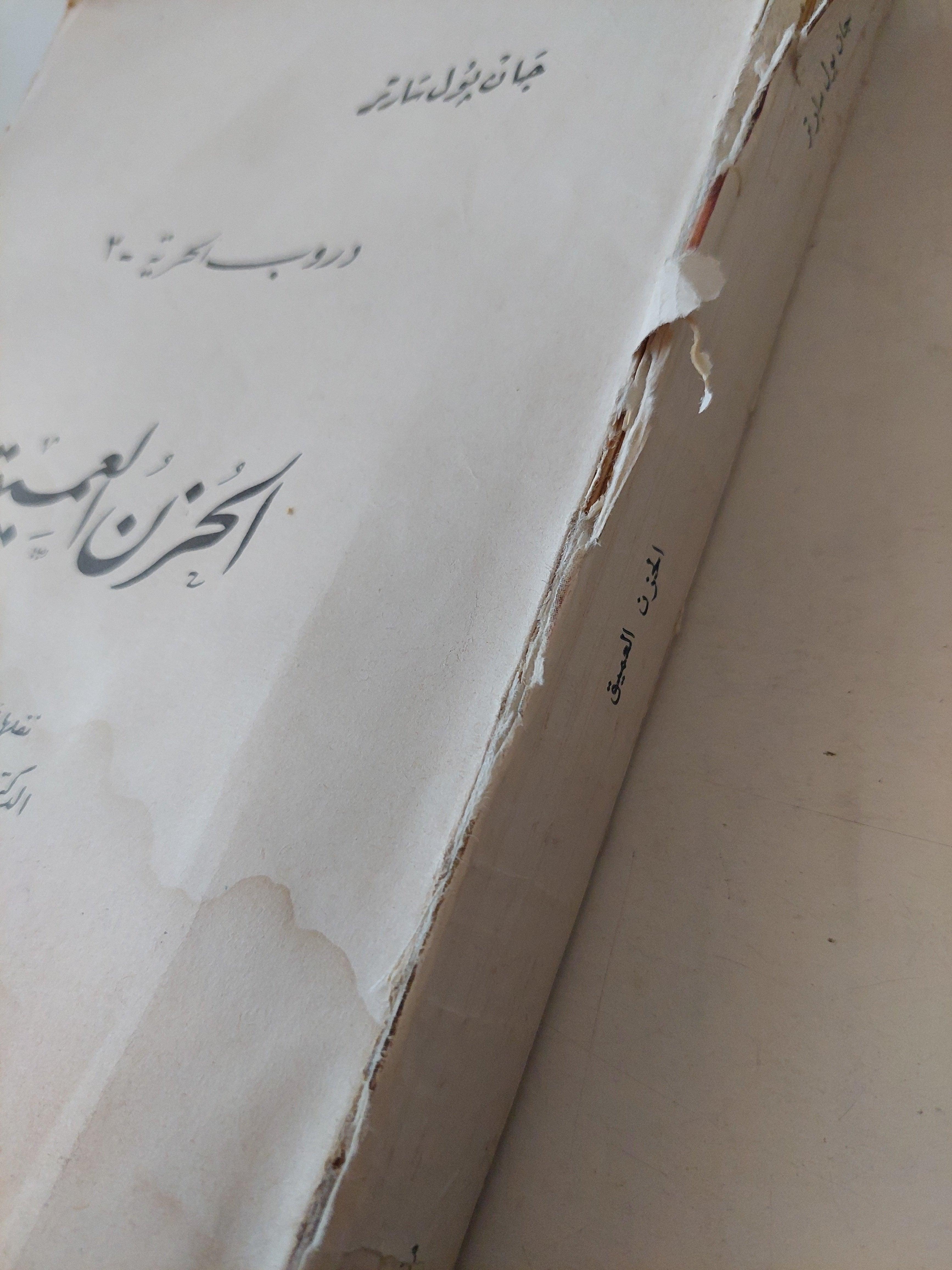 الحزن العميق / جان بول سارتر - متجر كتب مصر - متجر كتب مصر