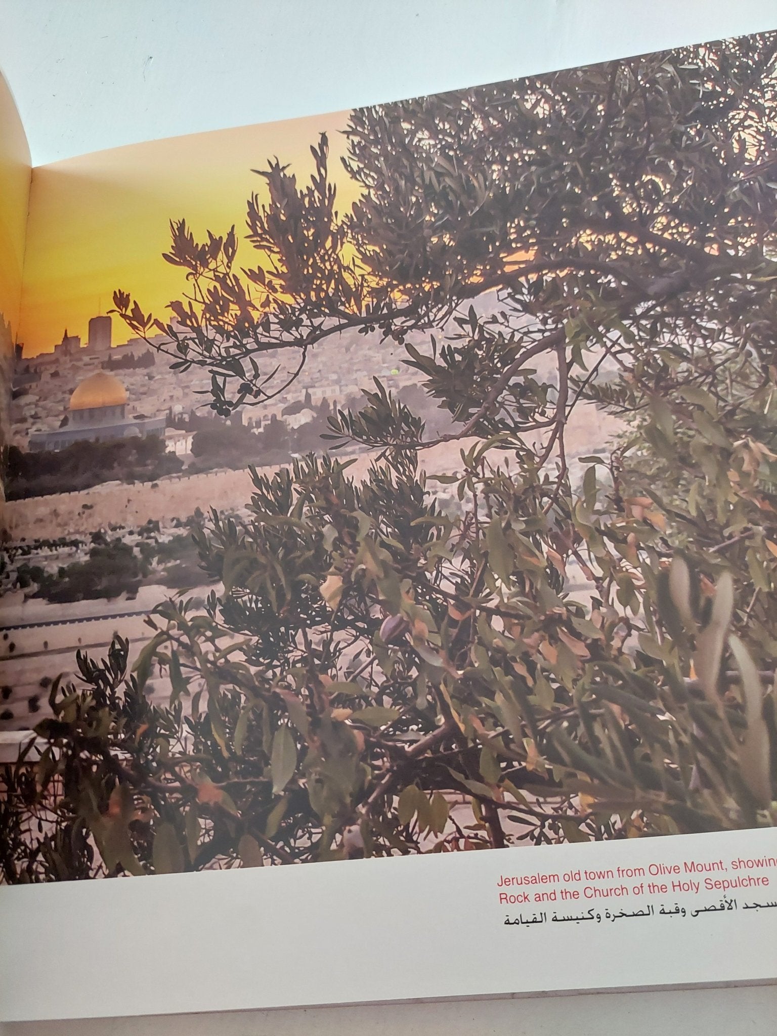 القدس تتحدث عن نفسها / ياسر خالدى - قطع كبير هارد كفر ملحق بالصور - متجر كتب مصر - متجر كتب مصر