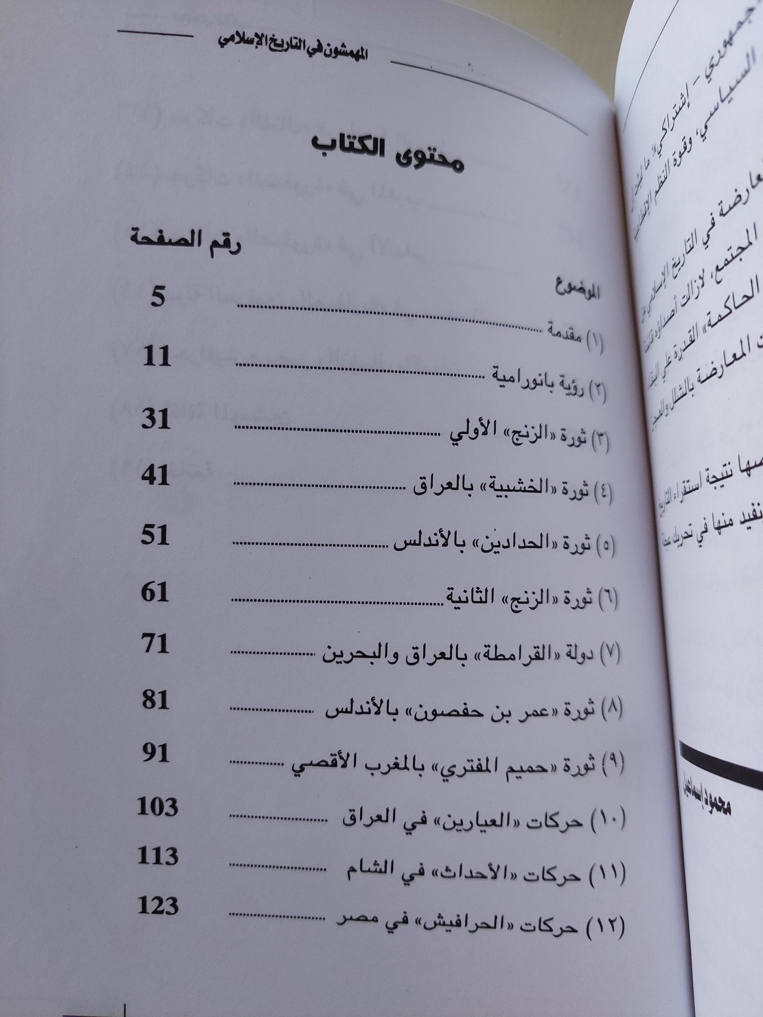 المهمشون فى التاريخ الإسلامى / محمود إسماعيل - متجر كتب مصر - متجر كتب مصر