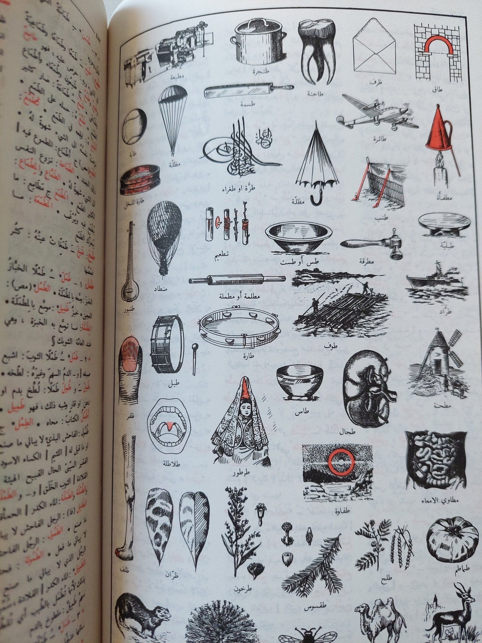 المنجد فى اللغة والأعلام / الأب لويس معلوف اليسوعي - هارد كفر - متجر كتب مصر - المكتبة الفلسفية