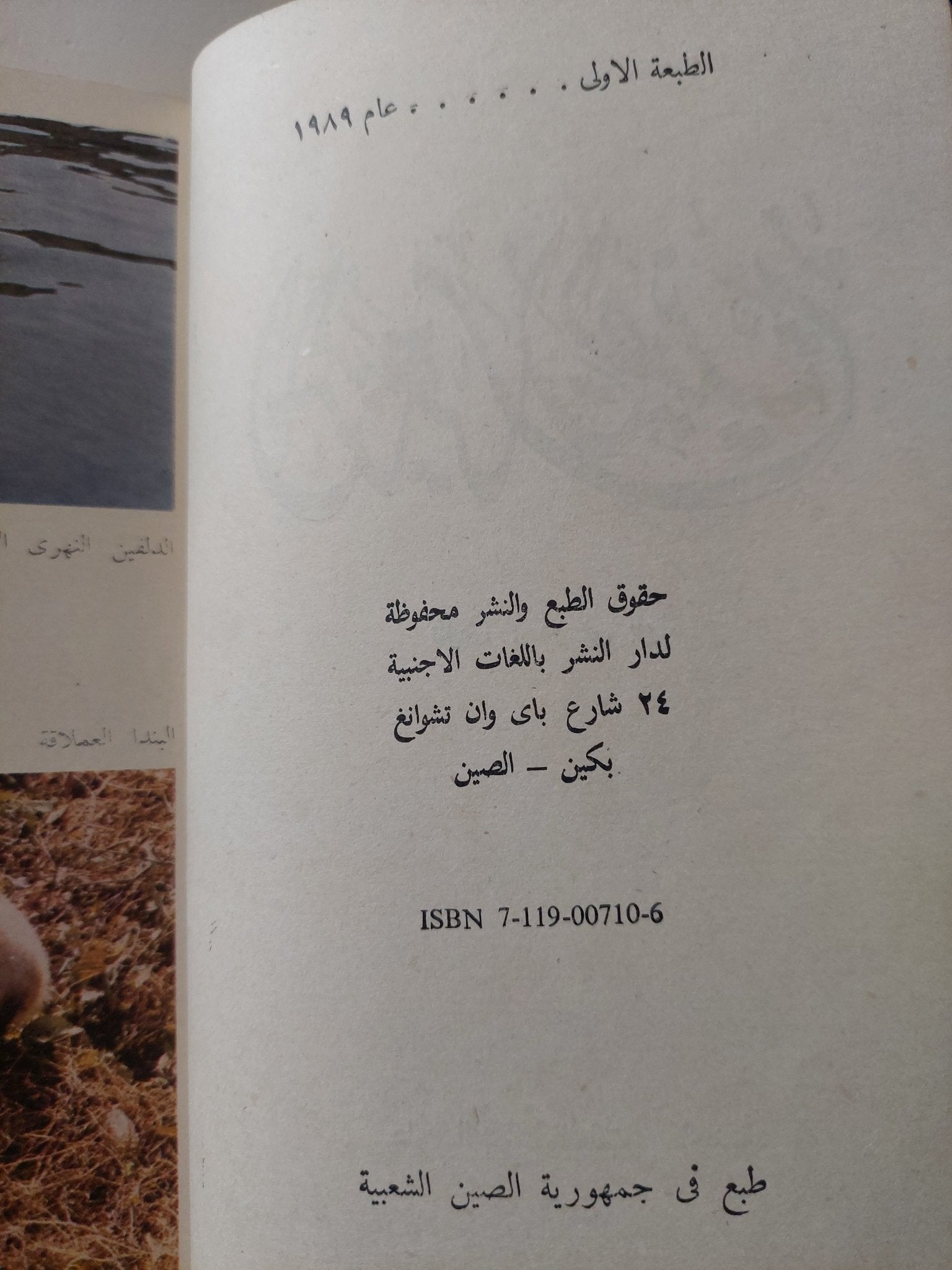 المتناهيات الصينية - ملحق بالصور - متجر كتب مصر - متجر كتب مصر