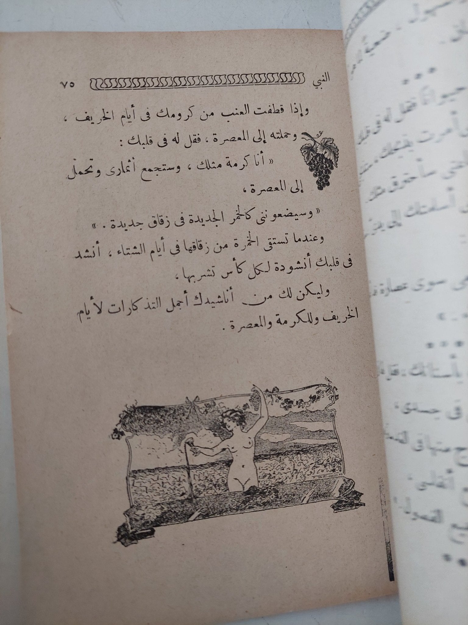 النبى / جبران خليل جبران - متجر كتب مصر - متجر كتب مصر