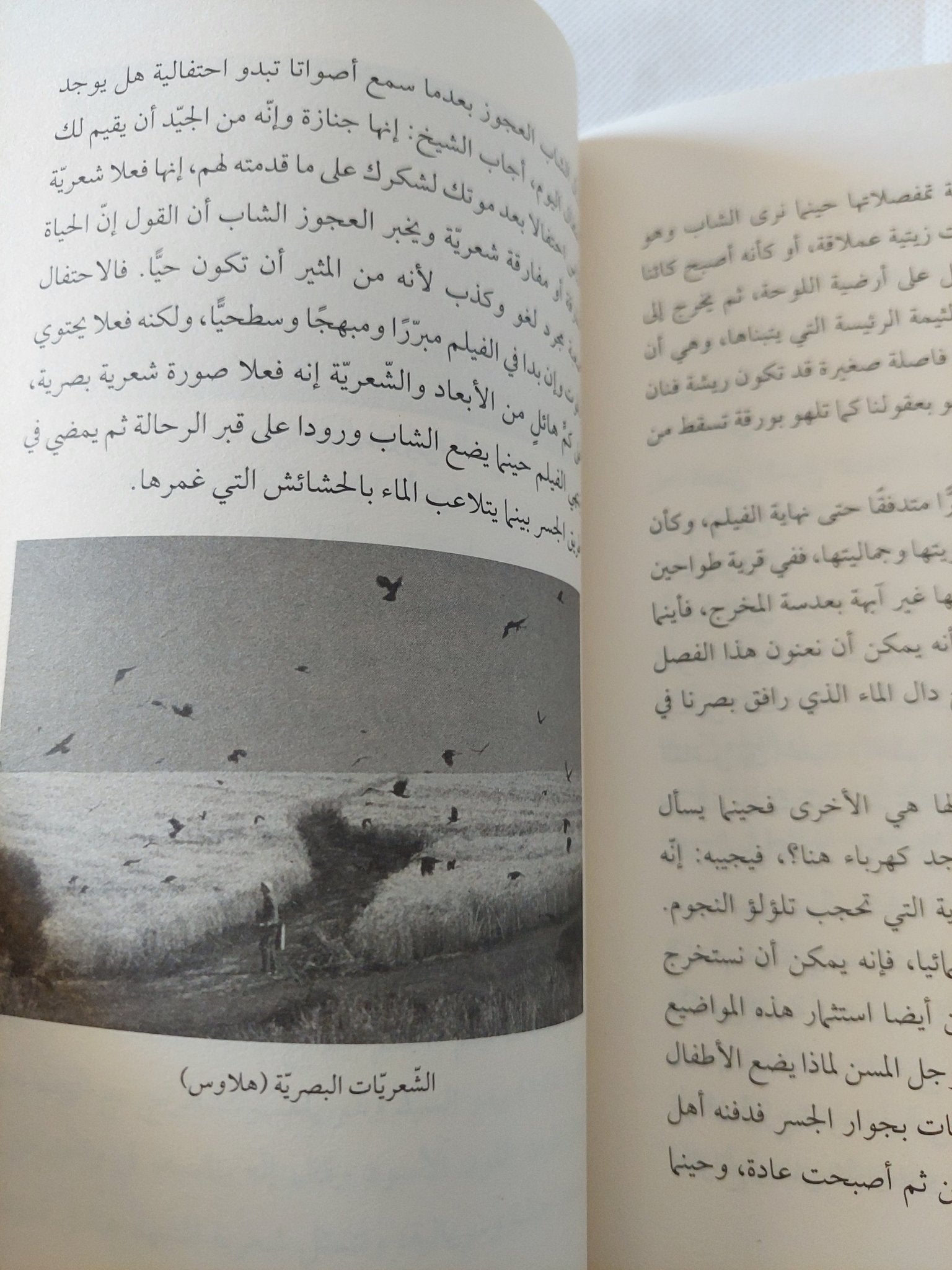 الشعرية فى السينما / عبد الكريم قادرى - ملحق بالصور - متجر كتب مصر - المكتبة الفلسفية