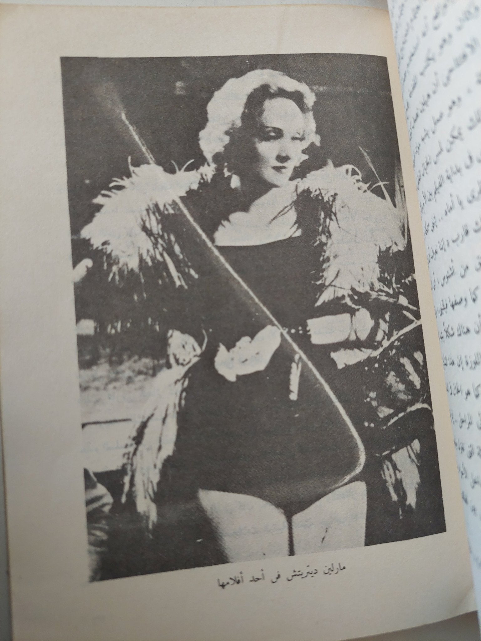 السينما الأمريكية / دونالد ستابلز - ملحق بالصور - متجر كتب مصر - متجر كتب مصر