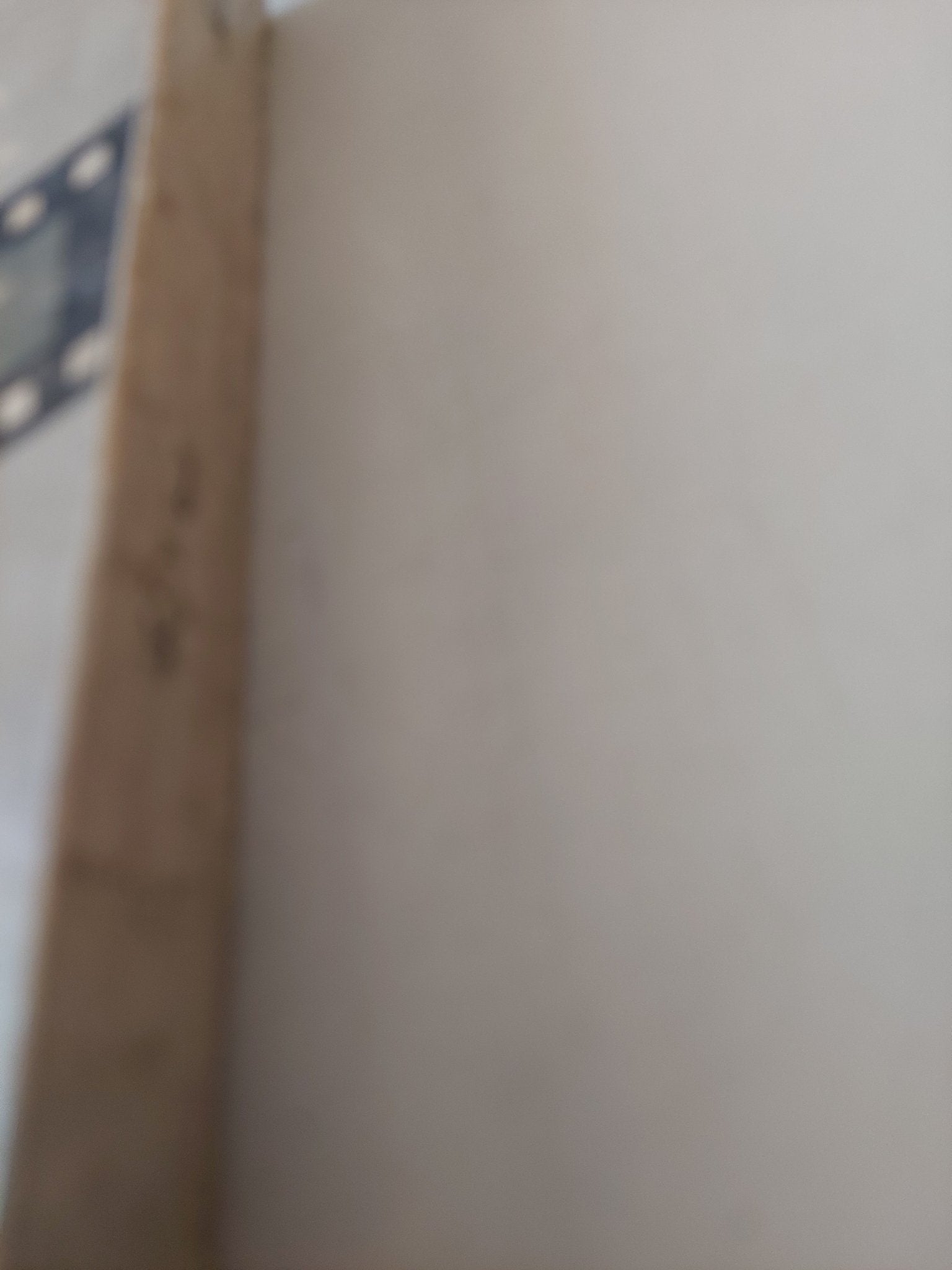 السينما الأمريكية / دونالد ستابلز - ملحق بالصور - متجر كتب مصر - متجر كتب مصر