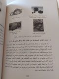 الطعام الصينى / شييه دينغ يوان - جزئين - متجر كتب مصر - متجر كتب مصر