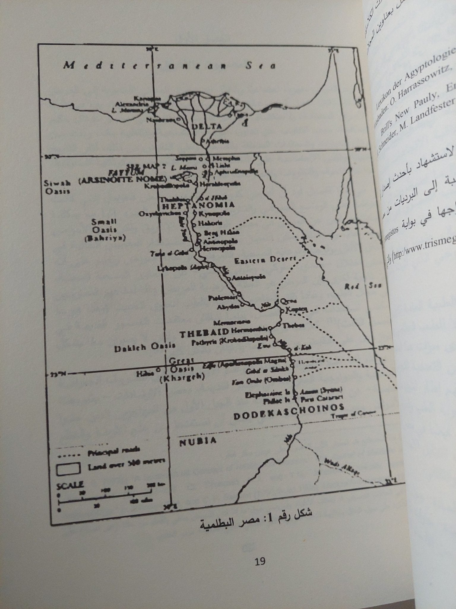الطب والمجتمع فى مصر فى العصر البطلمى / فيليبا لانج - متجر كتب مصر - متجر كتب مصر