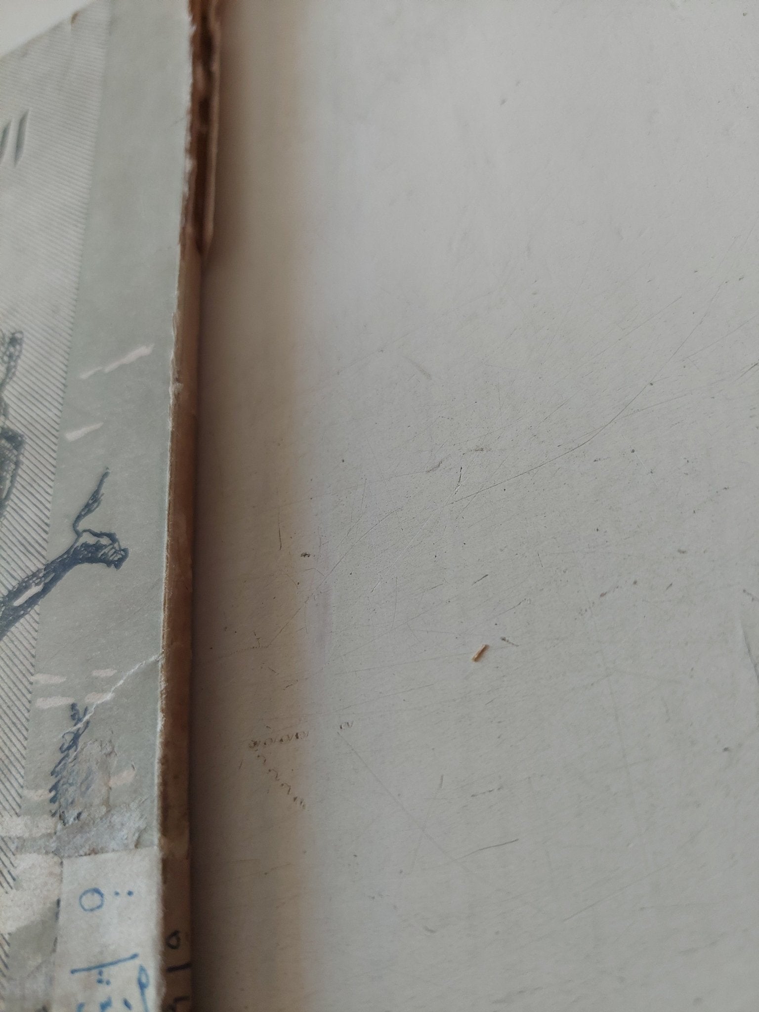 الطبيعة والإغريق / إيروين شرودنجر - متجر كتب مصر - متجر كتب مصر