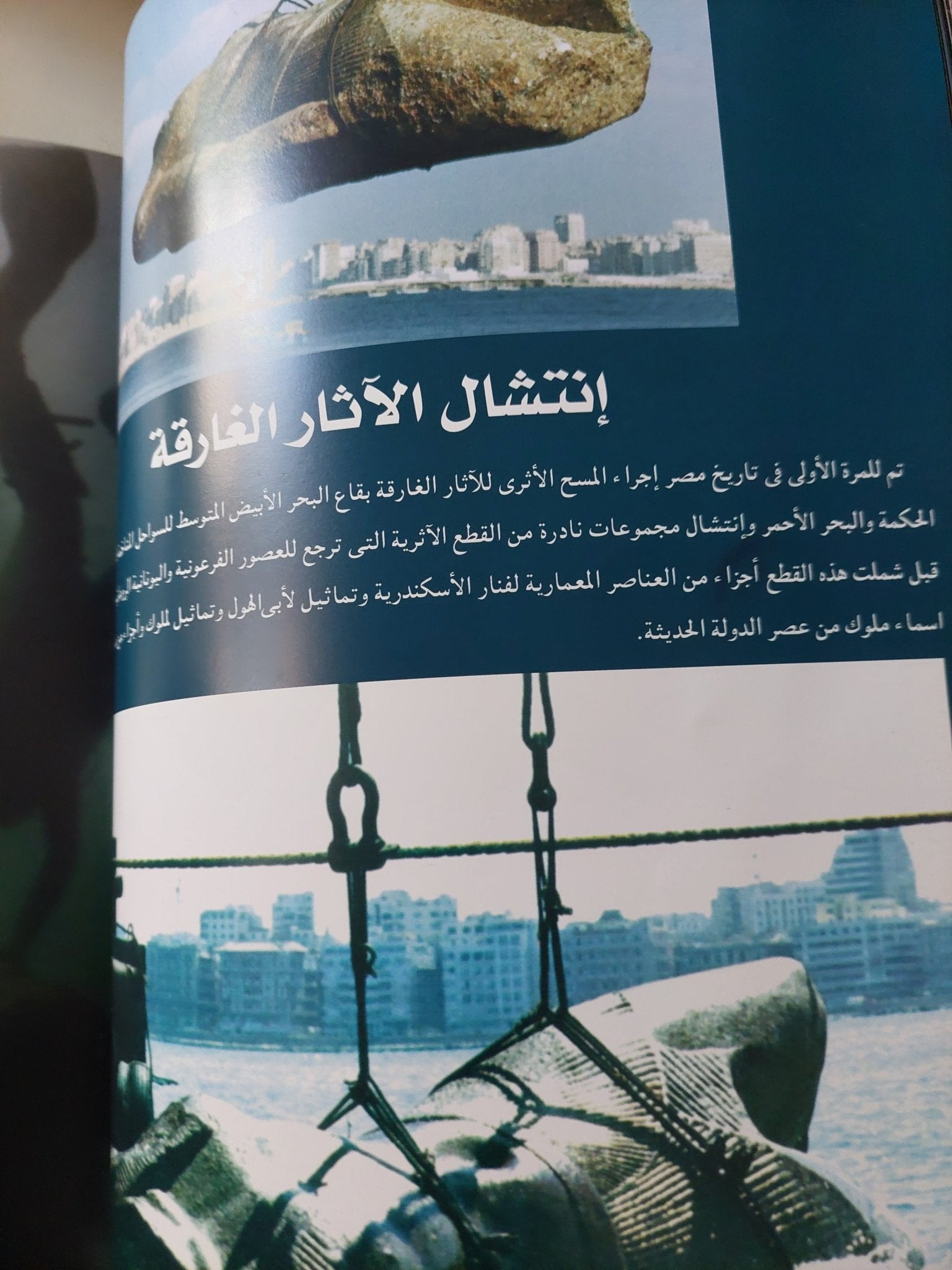 الثقافة ضوء يسطع على وجه الوطن - قطع كبير - متجر كتب مصر - متجر كتب مصر