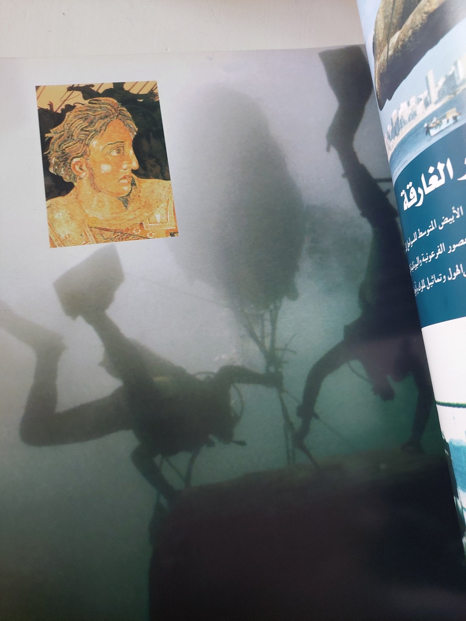 الثقافة ضوء يسطع على وجه الوطن - قطع كبير - متجر كتب مصر - متجر كتب مصر