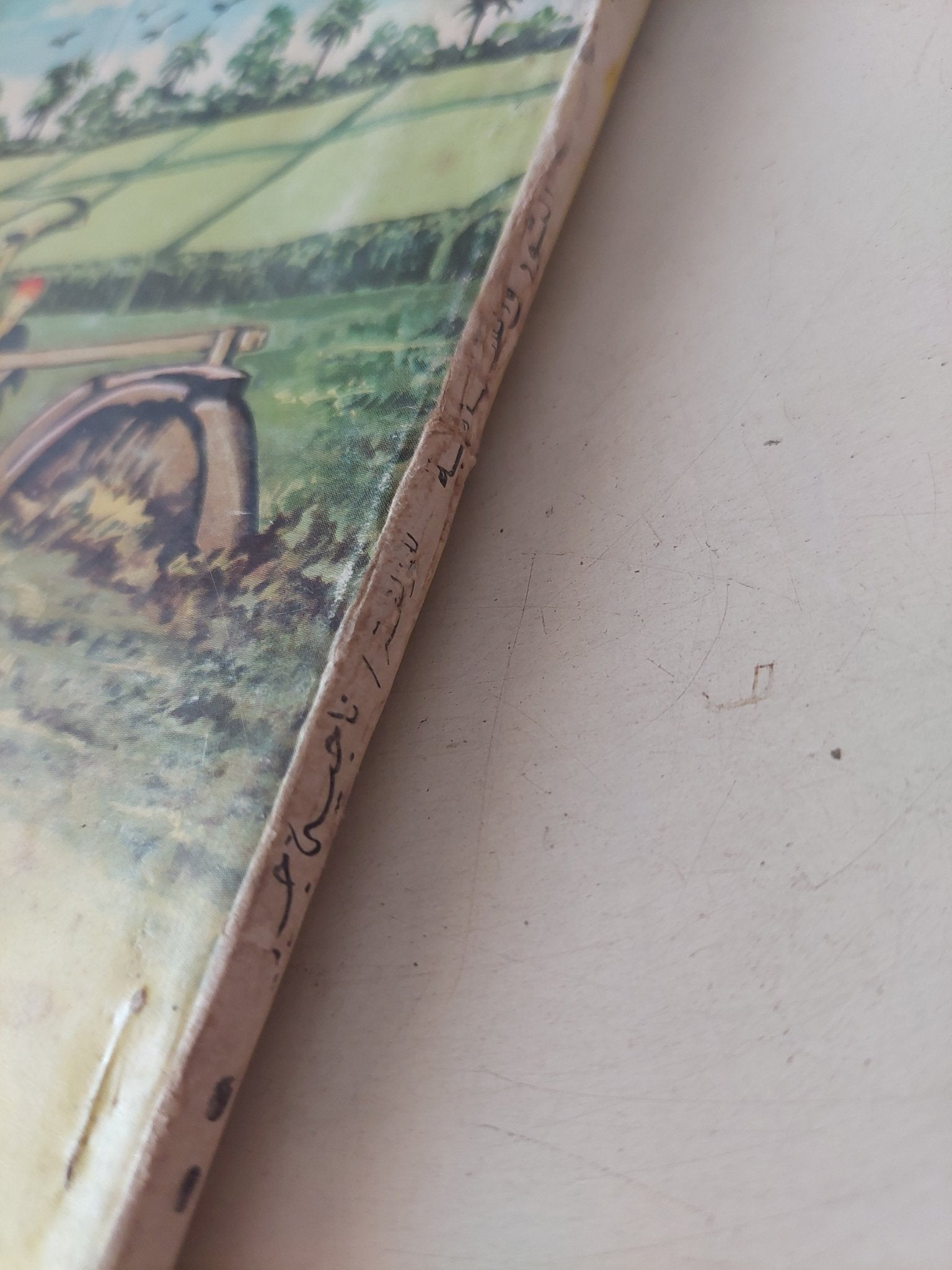 الثور والساقية / ناجية جبر - متجر كتب مصرمتجر كتب مصر