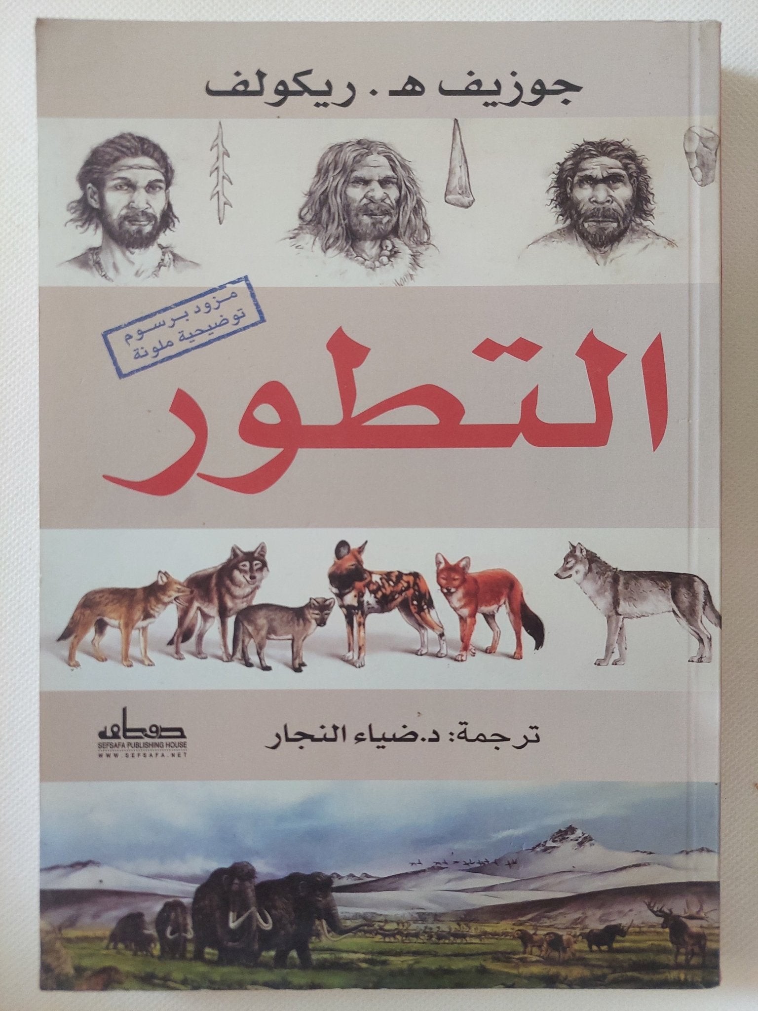 التطور / جوزيف ريكولف - ملحق بالصور - متجر كتب مصر - المكتبة الفلسفية