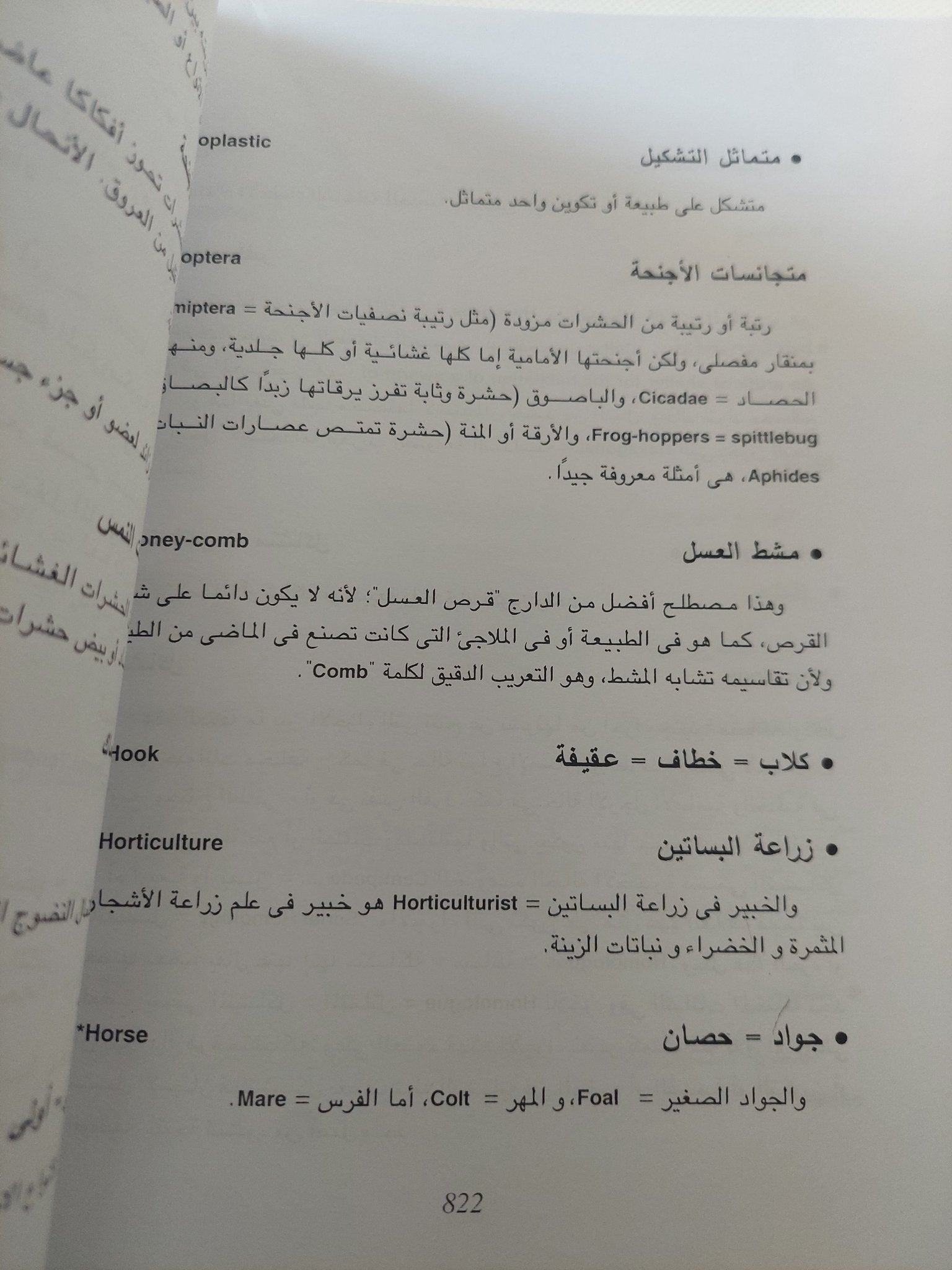 أصل الأنواع / تشارلز داروين - متجر كتب مصر - المكتبة الفلسفية