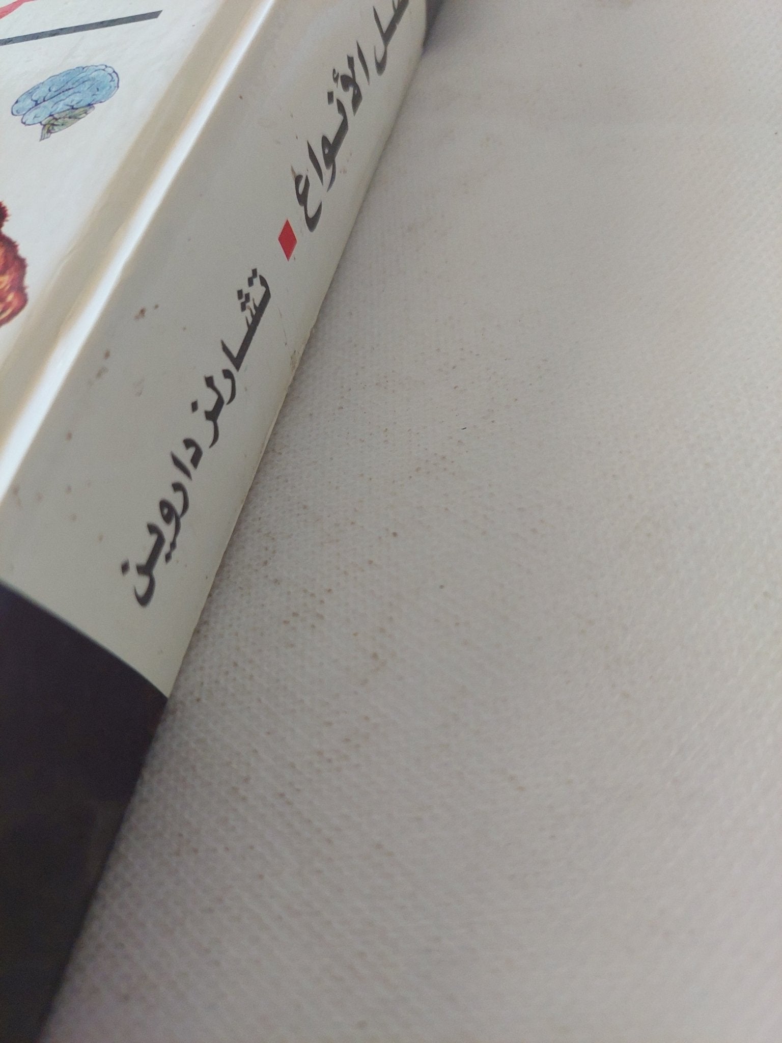 أصل الأنواع / تشارلز داروين - هارد كفر - متجر كتب مصر - المكتبة الفلسفية