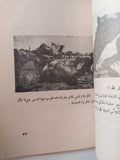 أسرار فى حياة الأبل / محمد سامى - متجر كتب مصر - متجر كتب مصر