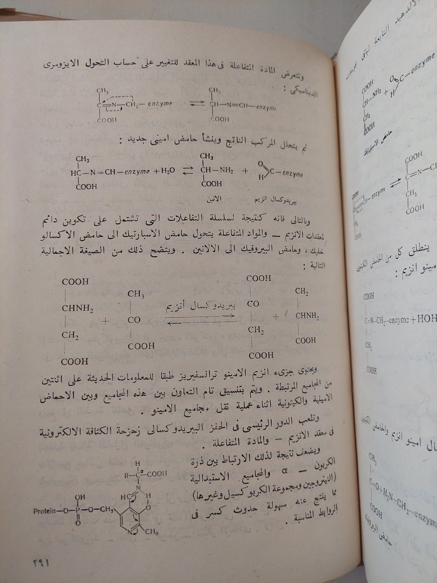 أسس الكيمياء الحيوية / يو فيلبوفيتش - هارد كفر - متجر كتب مصر - متجر كتب مصر