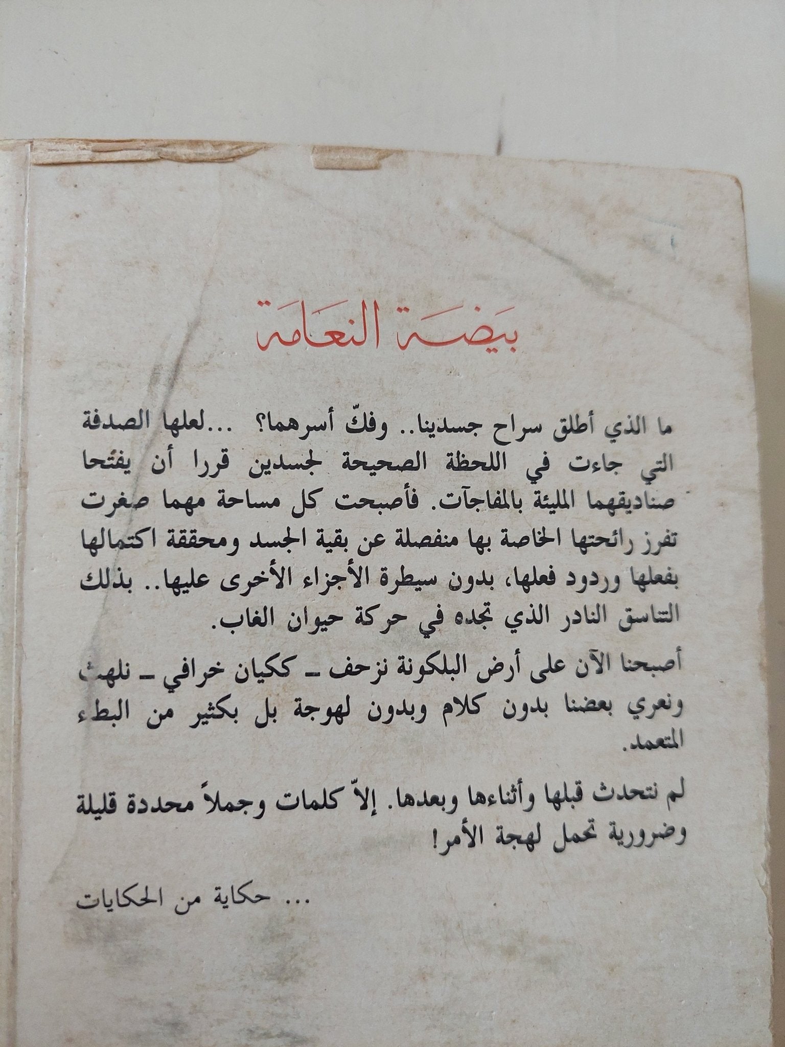 بيضة النعامة / رؤوف سعد - متجر كتب مصر - المكتبة الفلسفية