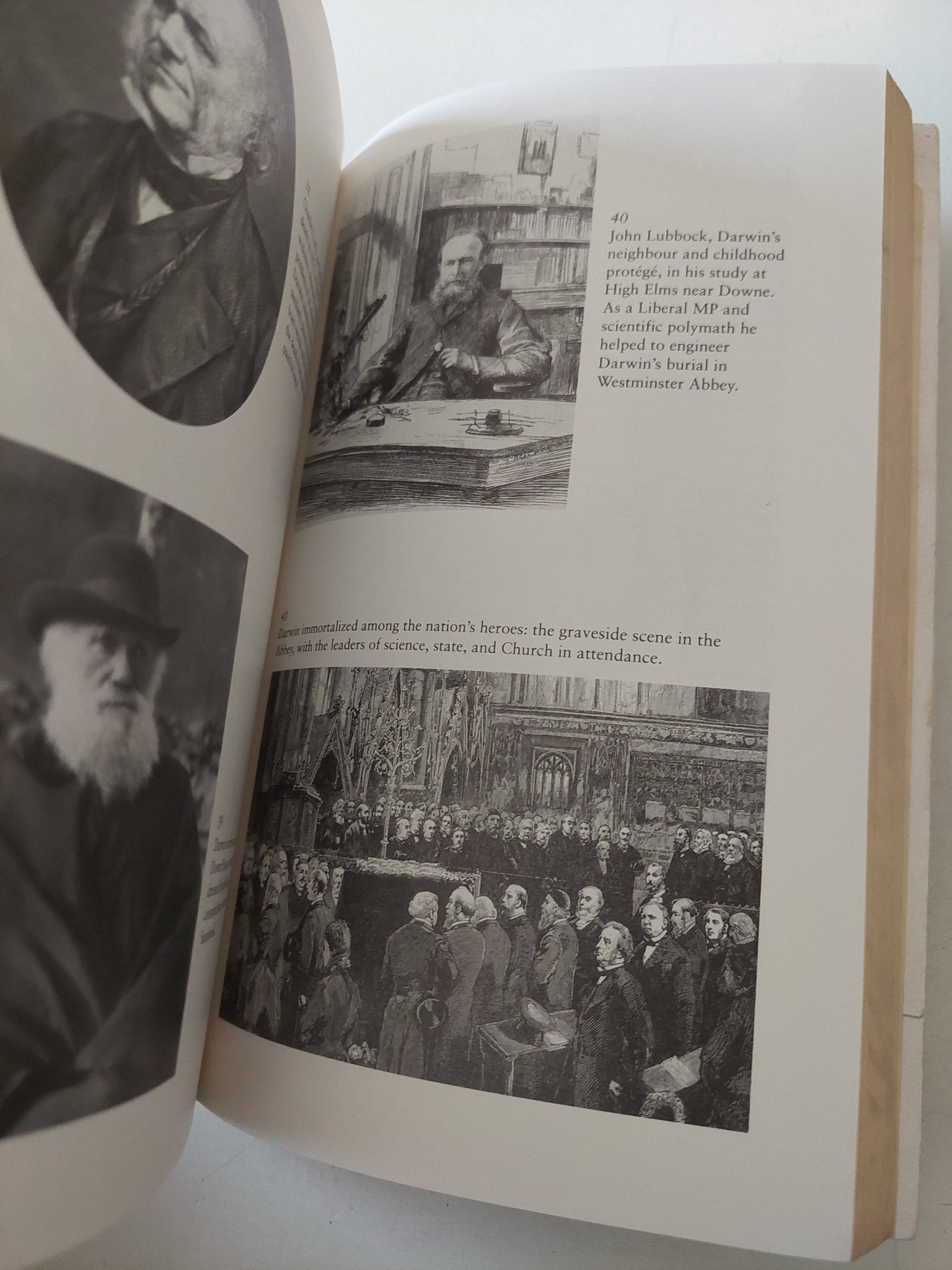 Darwin / Adrian Desmond & James Moore - ملحق بالصور - متجر كتب مصر - متجر كتب مصر