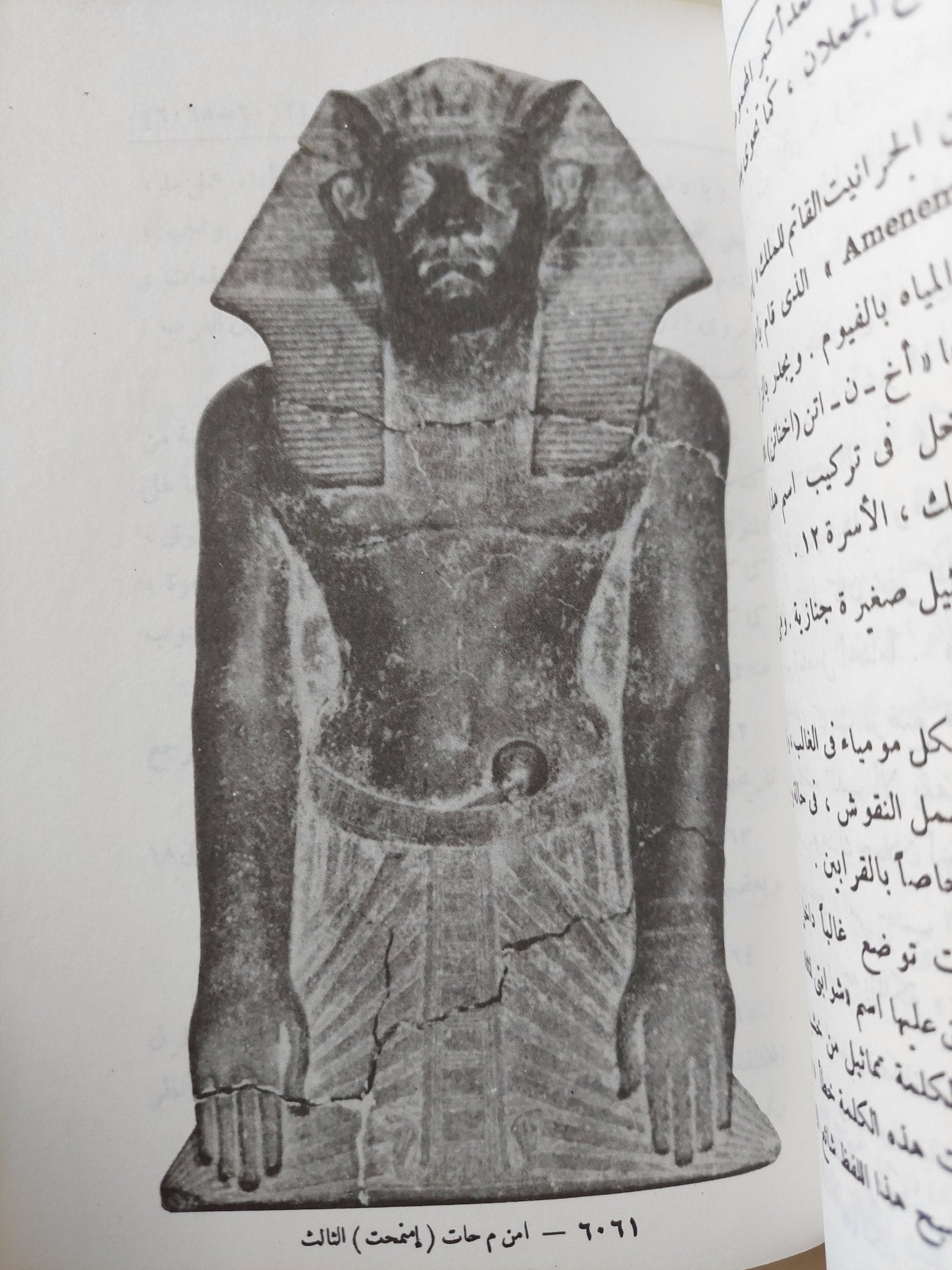 دليل المتحف المصرى - ملحق بالصور - متجر كتب مصر - متجر كتب مصر