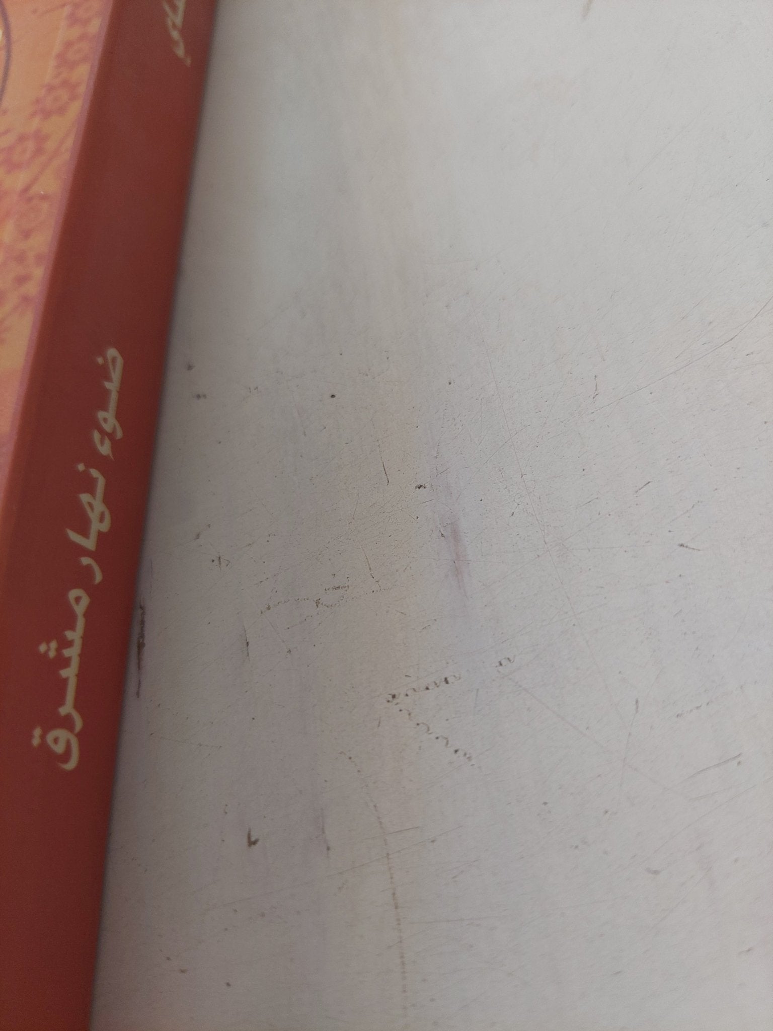 ضوء نهار مشرق / أنيتا ديساى - متجر كتب مصر - المكتبة الفلسفية