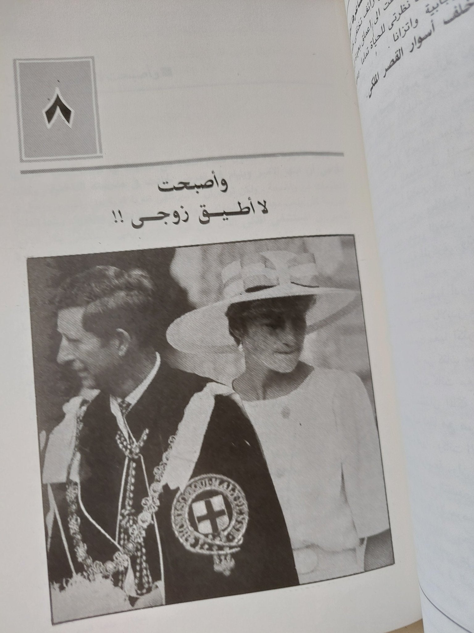 ديانا عذاب أميرة / أندرو مورتون - متجر كتب مصر - المكتبة الفلسفية
