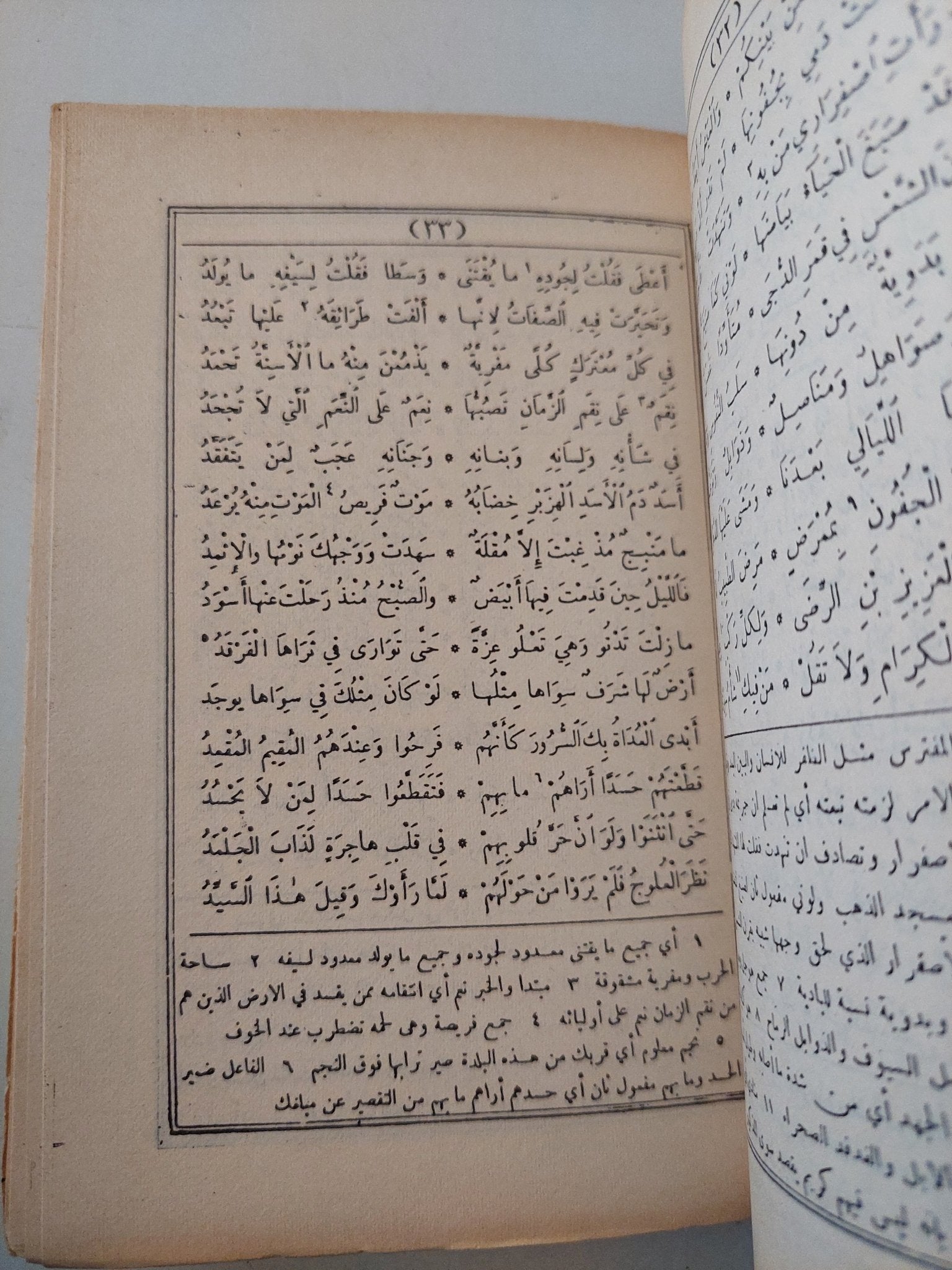 ديوان المتنبي - متجر كتب مصر - متجر كتب مصر