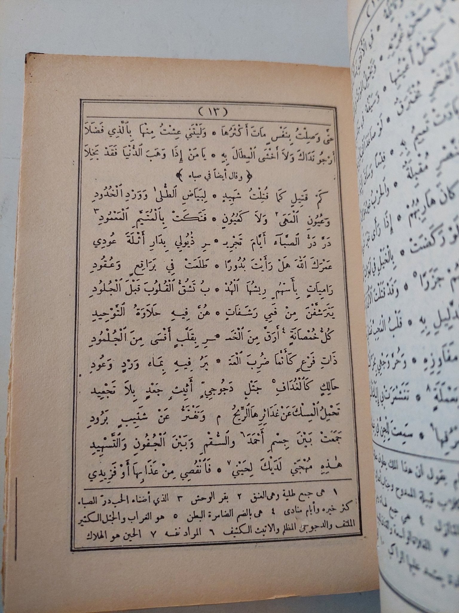 ديوان المتنبي - متجر كتب مصر - متجر كتب مصر