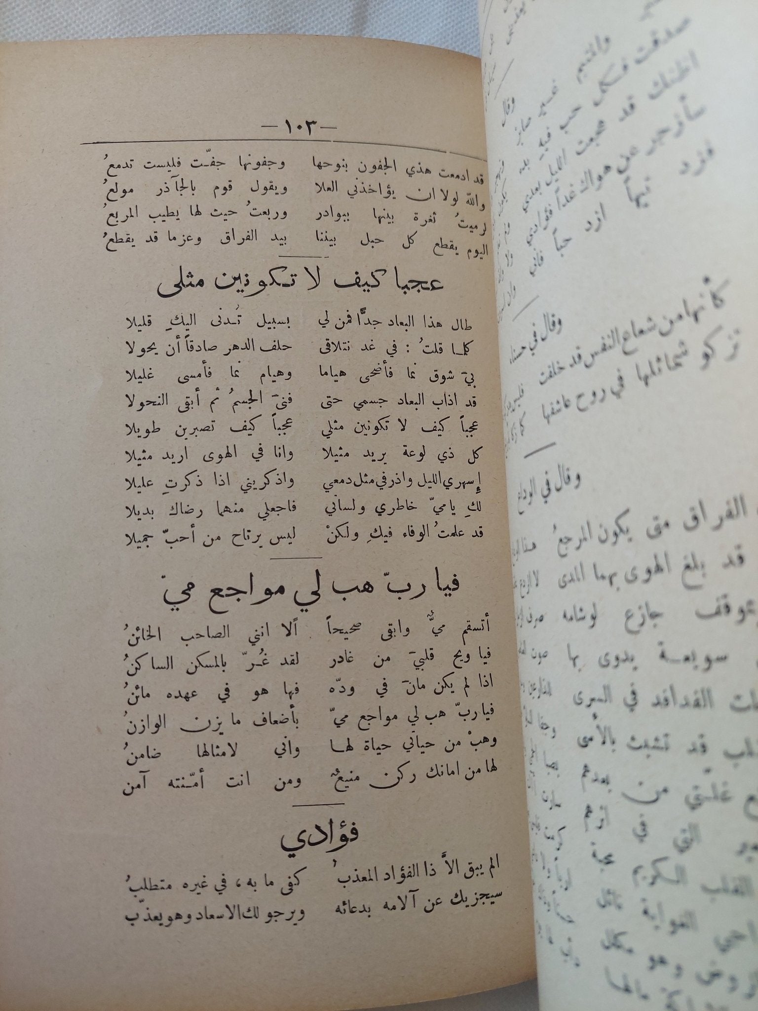 ديوان ولى الدين يكن ط1 - متجر كتب مصر - المكتبة الفلسفية