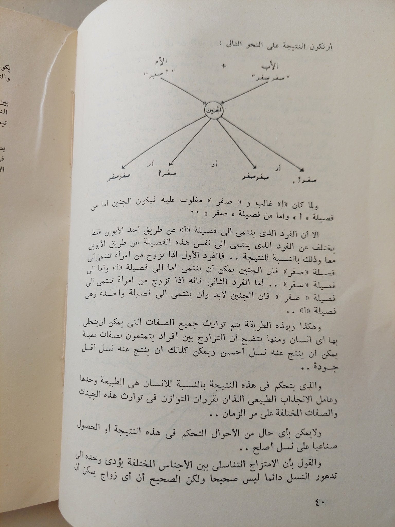 فكرة صائبة عن الأجناس والعنصرية / فيليب ماسون - متجر كتب مصرمتجر كتب مصر