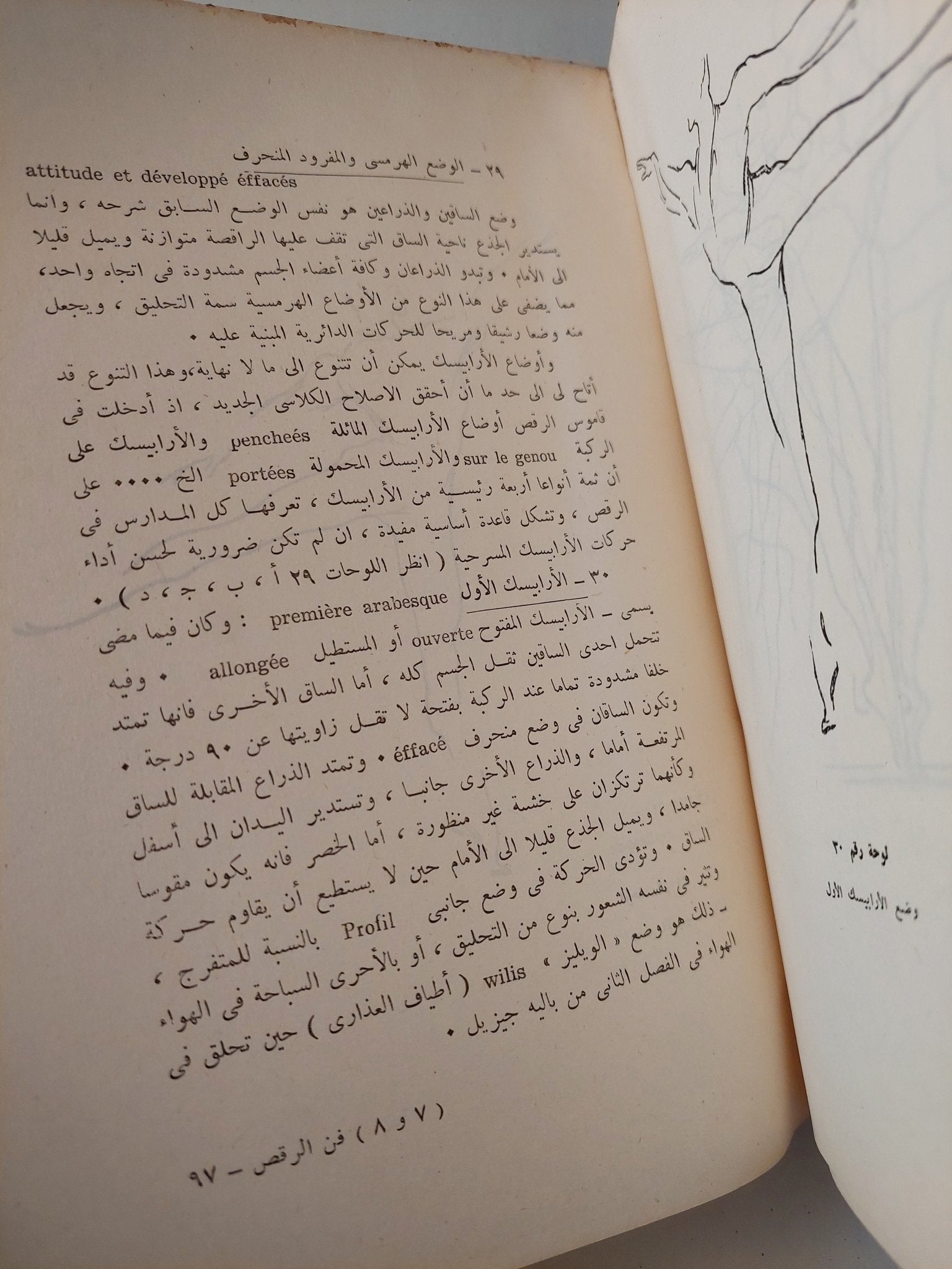 فن الرقص الأكاديمى / سيرج ليفار - متجر كتب مصر - متجر كتب مصر