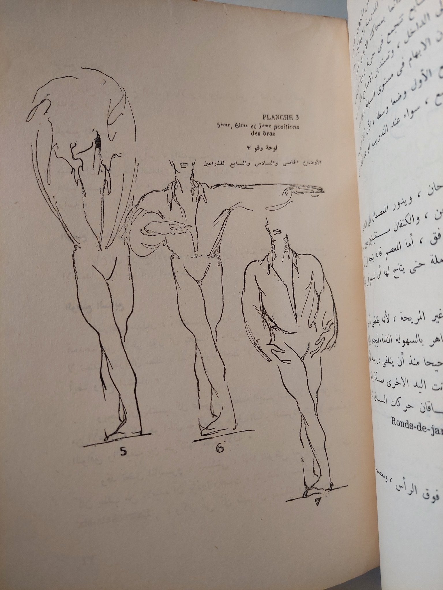 فن الرقص الأكاديمى / سيرج ليفار - متجر كتب مصر - متجر كتب مصر