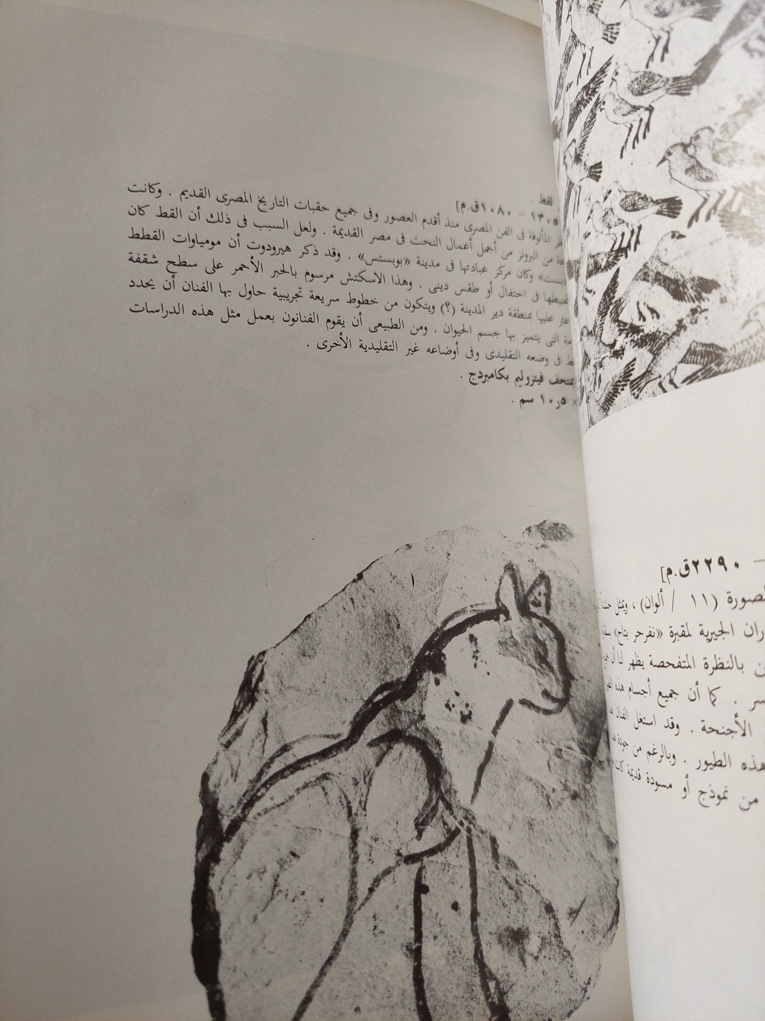 فن الرسم عند قدماء المصريين / وليم بيك - هارد كفر ملحق بالصور - متجر كتب مصر - متجر كتب مصر