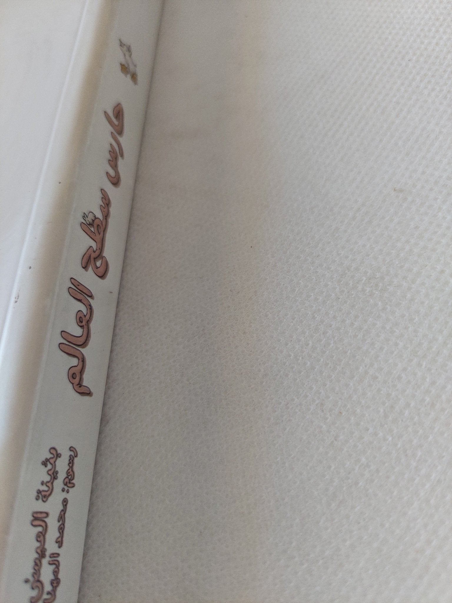 حارس سطح العالم / بثينة اليمنى - متجر كتب مصر - المكتبة الفلسفية
