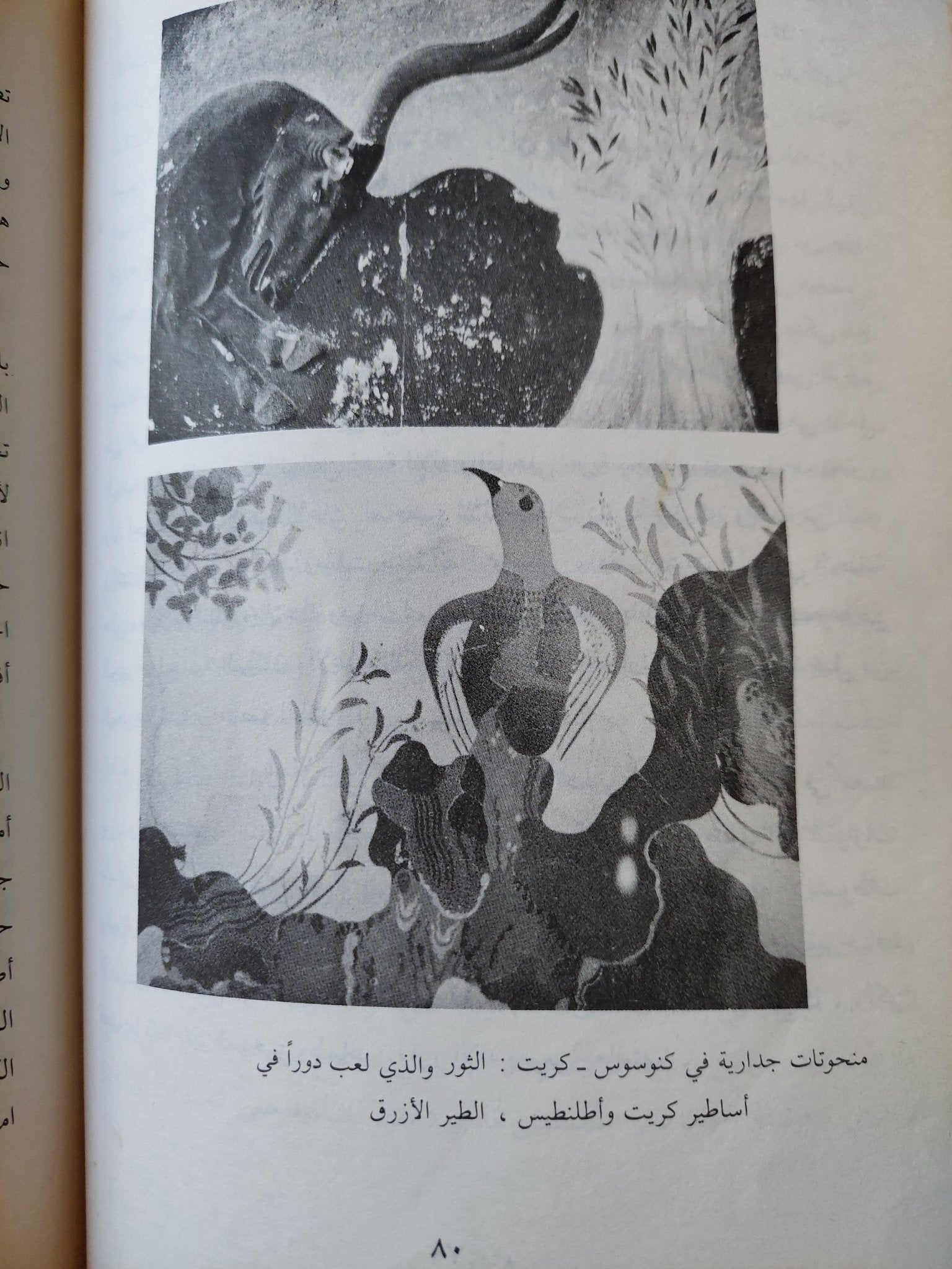 حوادث غامضة ومثيرة حيرت العلماء الجزء الأول - متجر كتب مصر - متجر كتب مصر