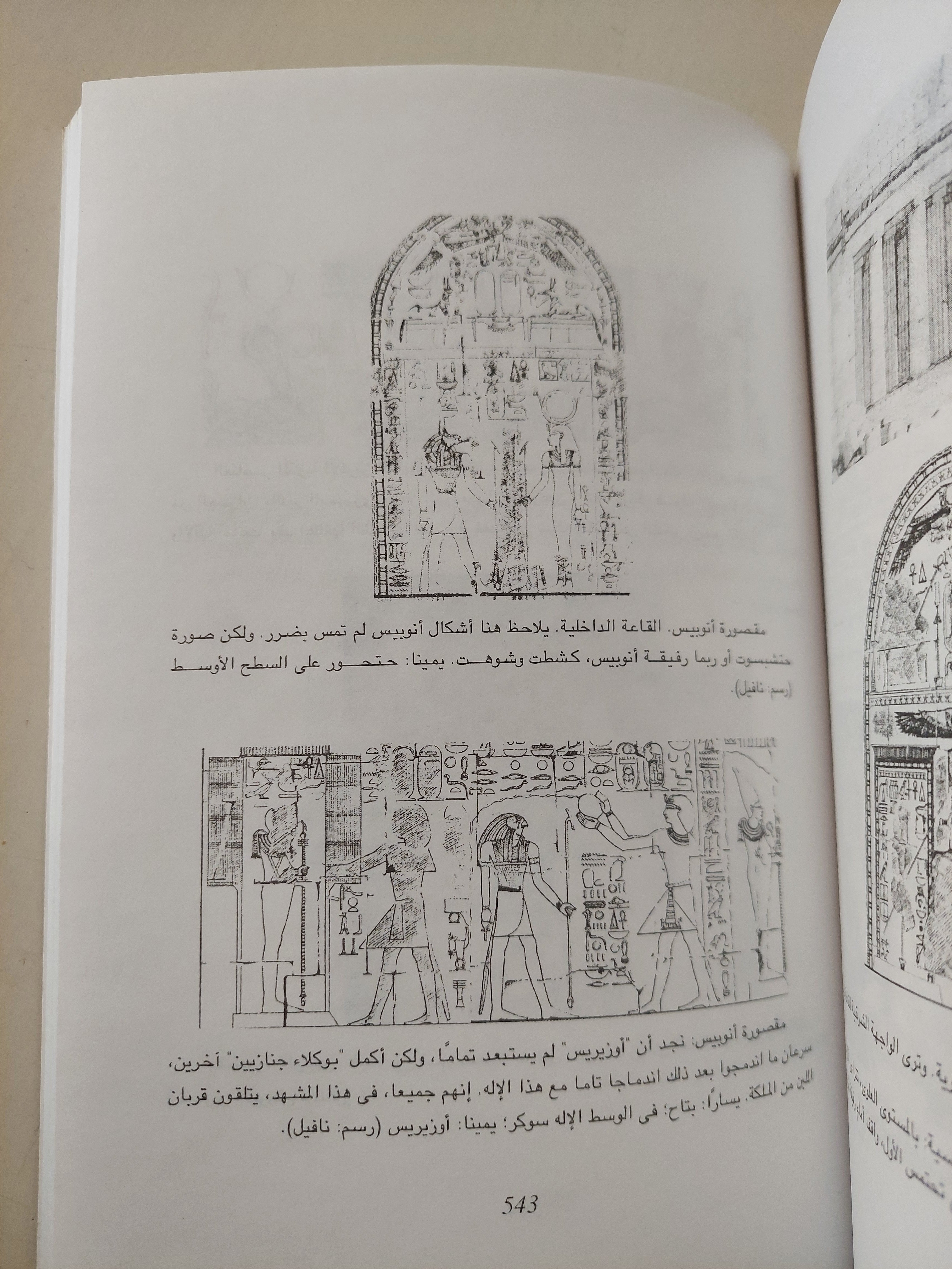 حتشبسوت : عظمة وسحر وغموض / مجلد ضخم مع ملحق خاص للصور ط1 - متجر كتب مصرمتجر كتب مصر