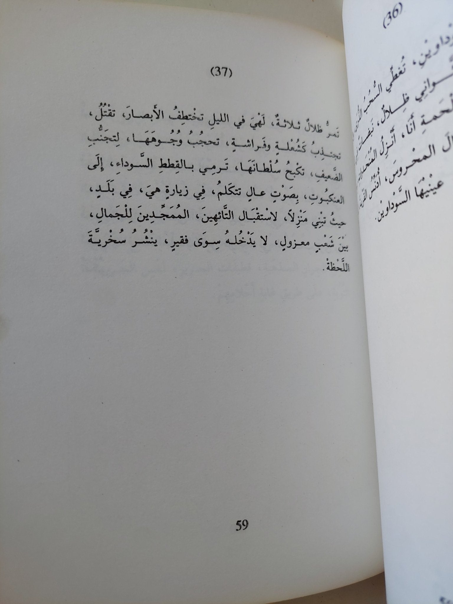 قبر ابن عربى يليه اباء / عبد الوهاب المؤدب - متجر كتب مصر - متجر كتب مصر