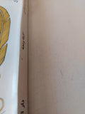 كليلة ودمنة بين الأصول القديمة والمحاكاة الشرقية / مجدى محمد شمس - متجر كتب مصر - متجر كتب مصر