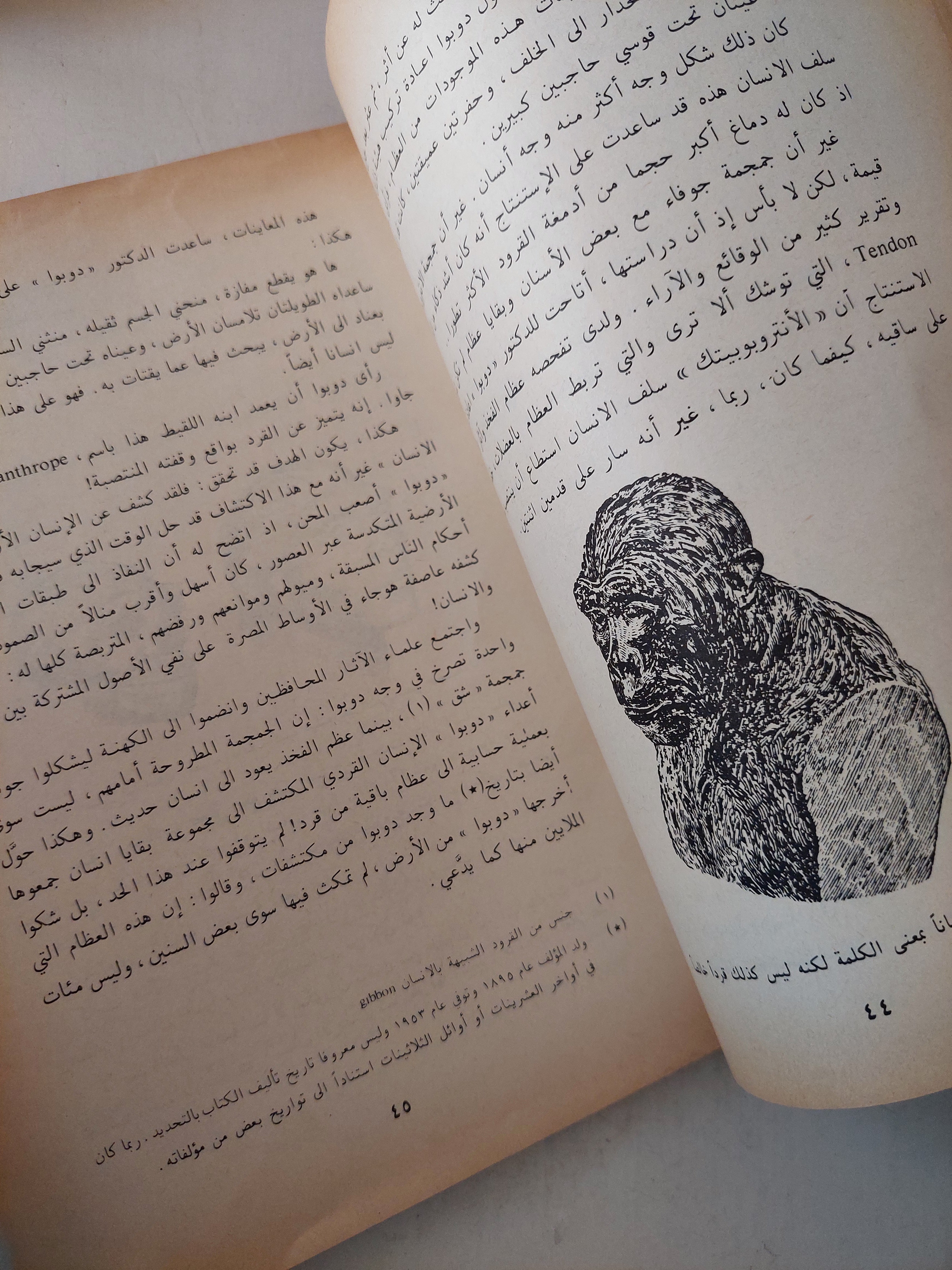 كيف أصبح الإنسان عملاقاً - متجر كتب مصر - متجر كتب مصر