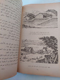 كيف أصبح الإنسان عملاقاً - متجر كتب مصر - متجر كتب مصر