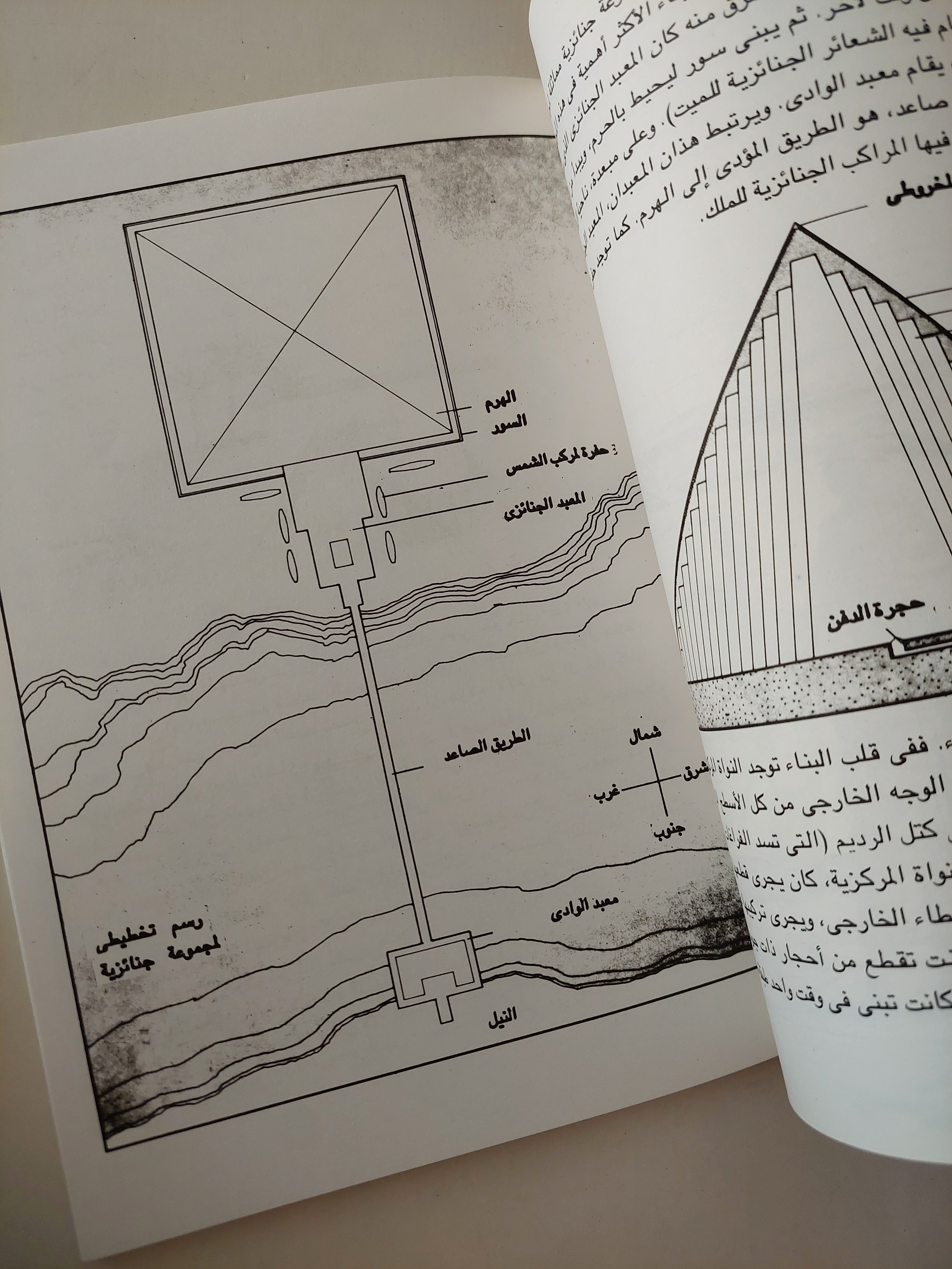 كيف بنى الهرم / دافيد ماكولاى - ملحق بالصور - متجر كتب مصرمتجر كتب مصر