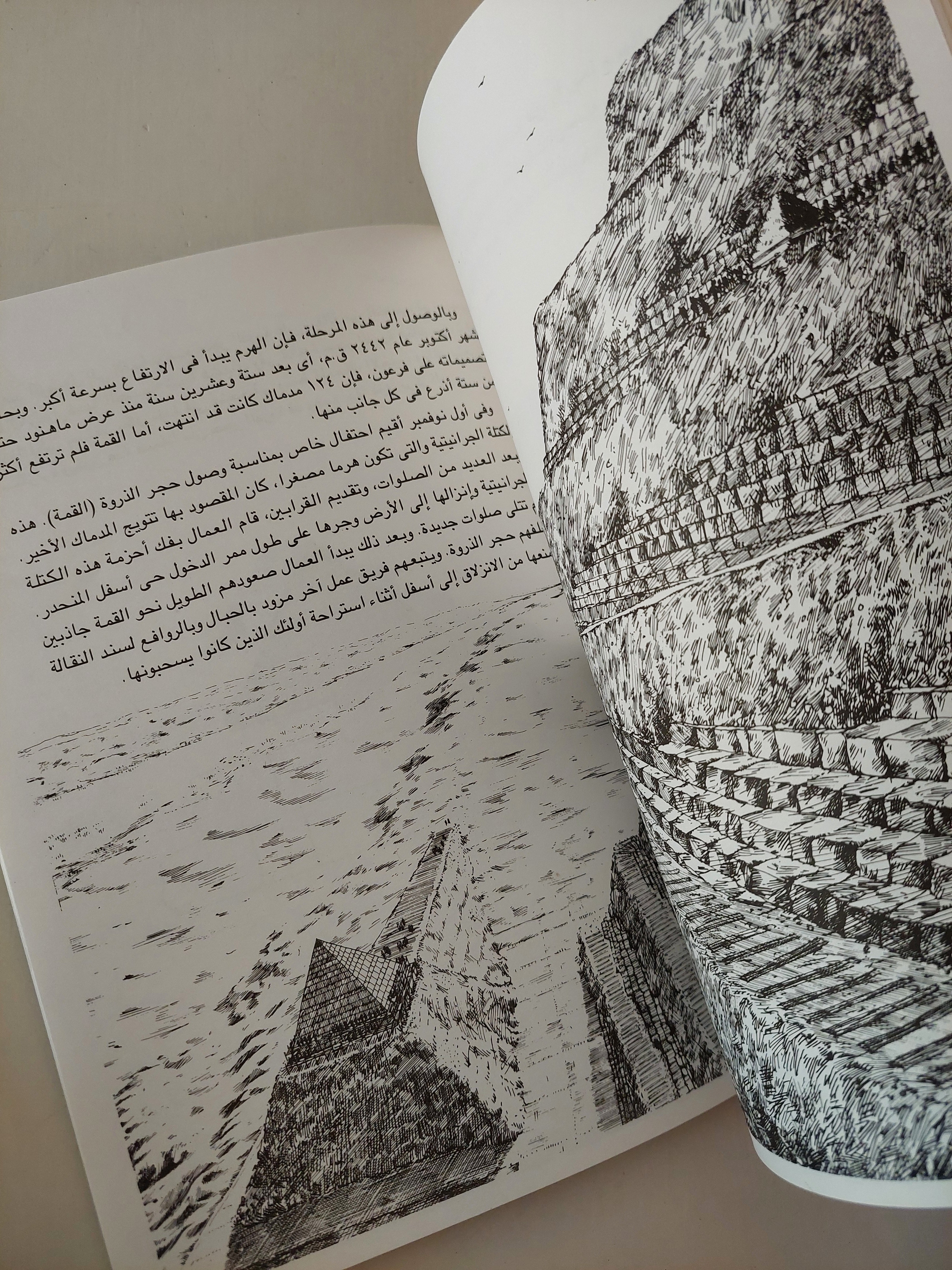 كيف بنى الهرم / دافيد ماكولاى - ملحق بالصور - متجر كتب مصرمتجر كتب مصر