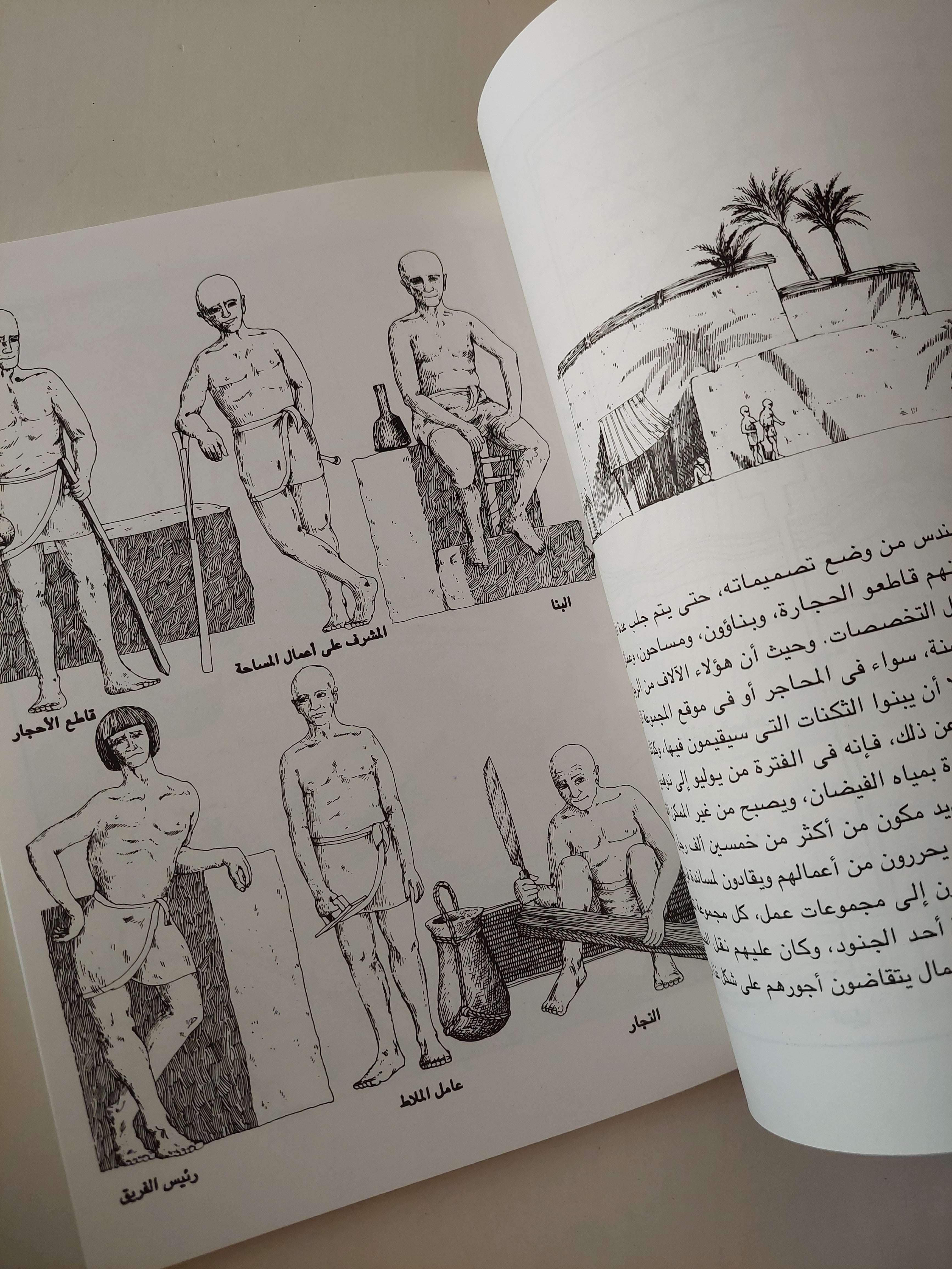 كيف بنى الهرم / دافيد ماكولاى - ملحق بالصور - متجر كتب مصرمتجر كتب مصر